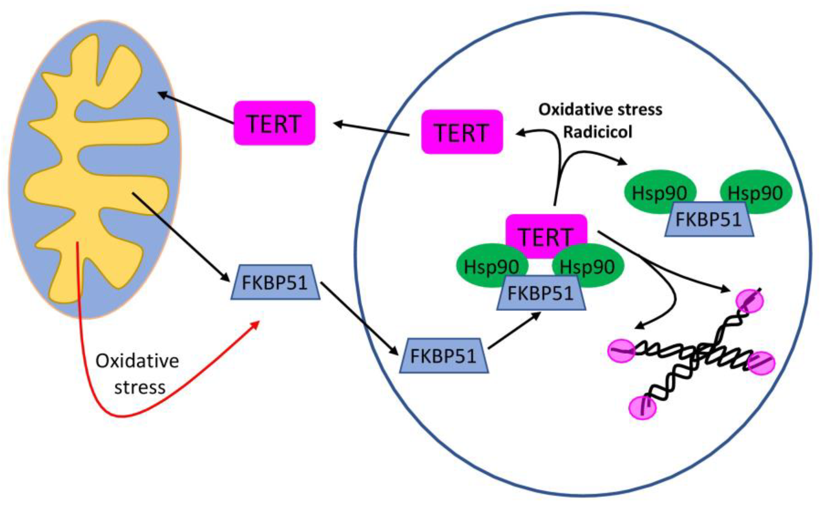 Ijms 23 00649 g002 550