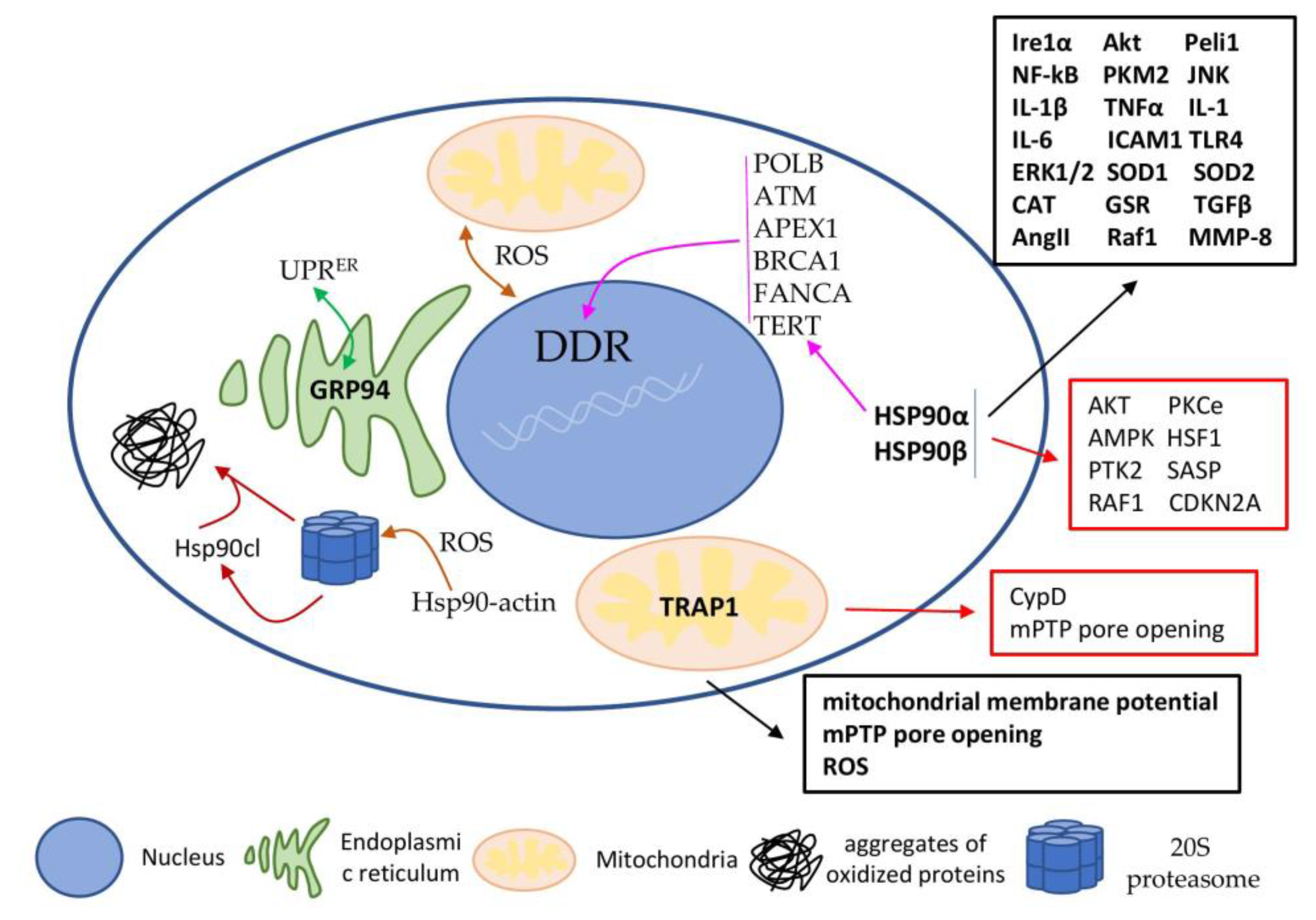 Ijms 23 00649 g003 550