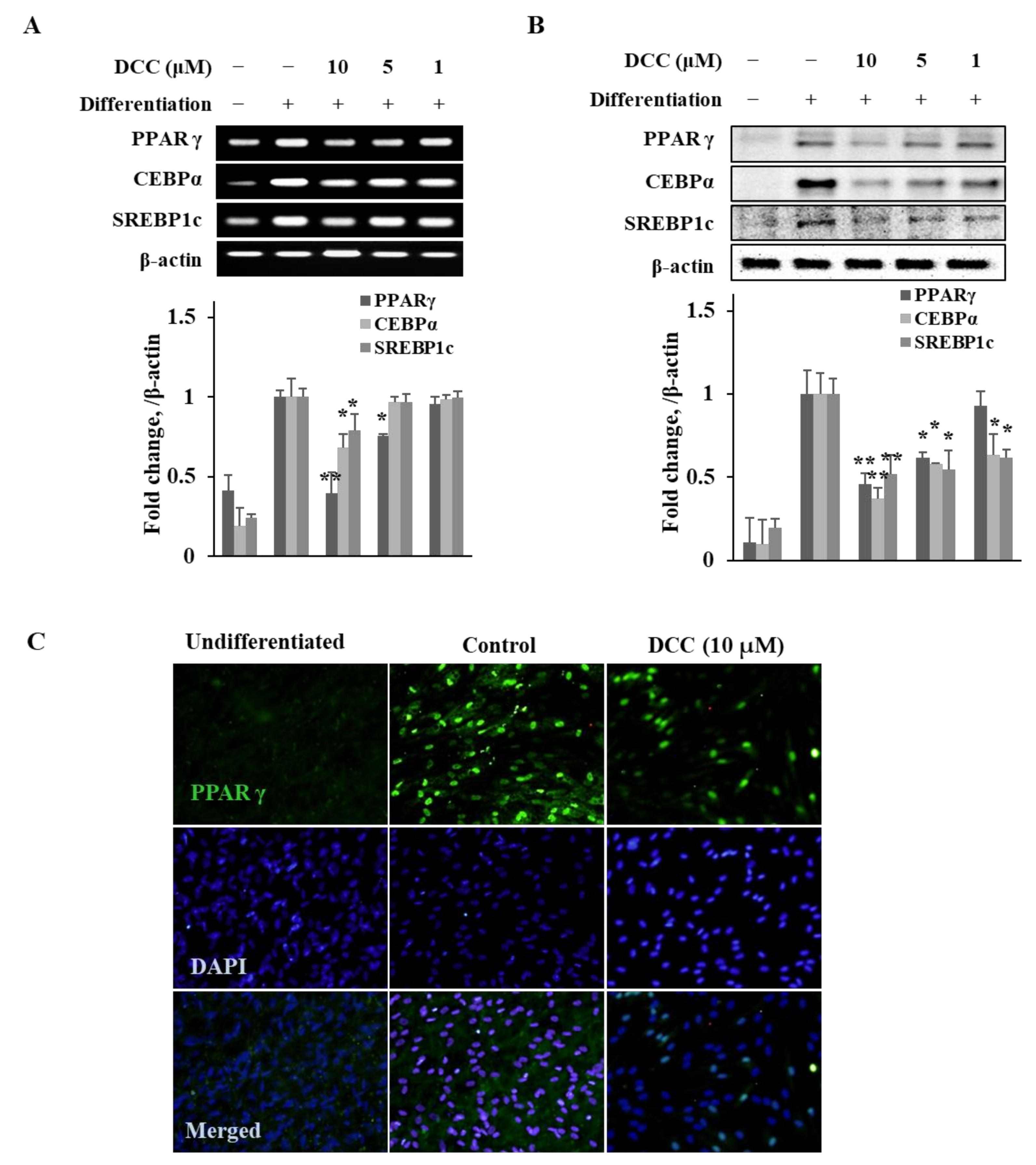 Ijms 23 00653 g002 550