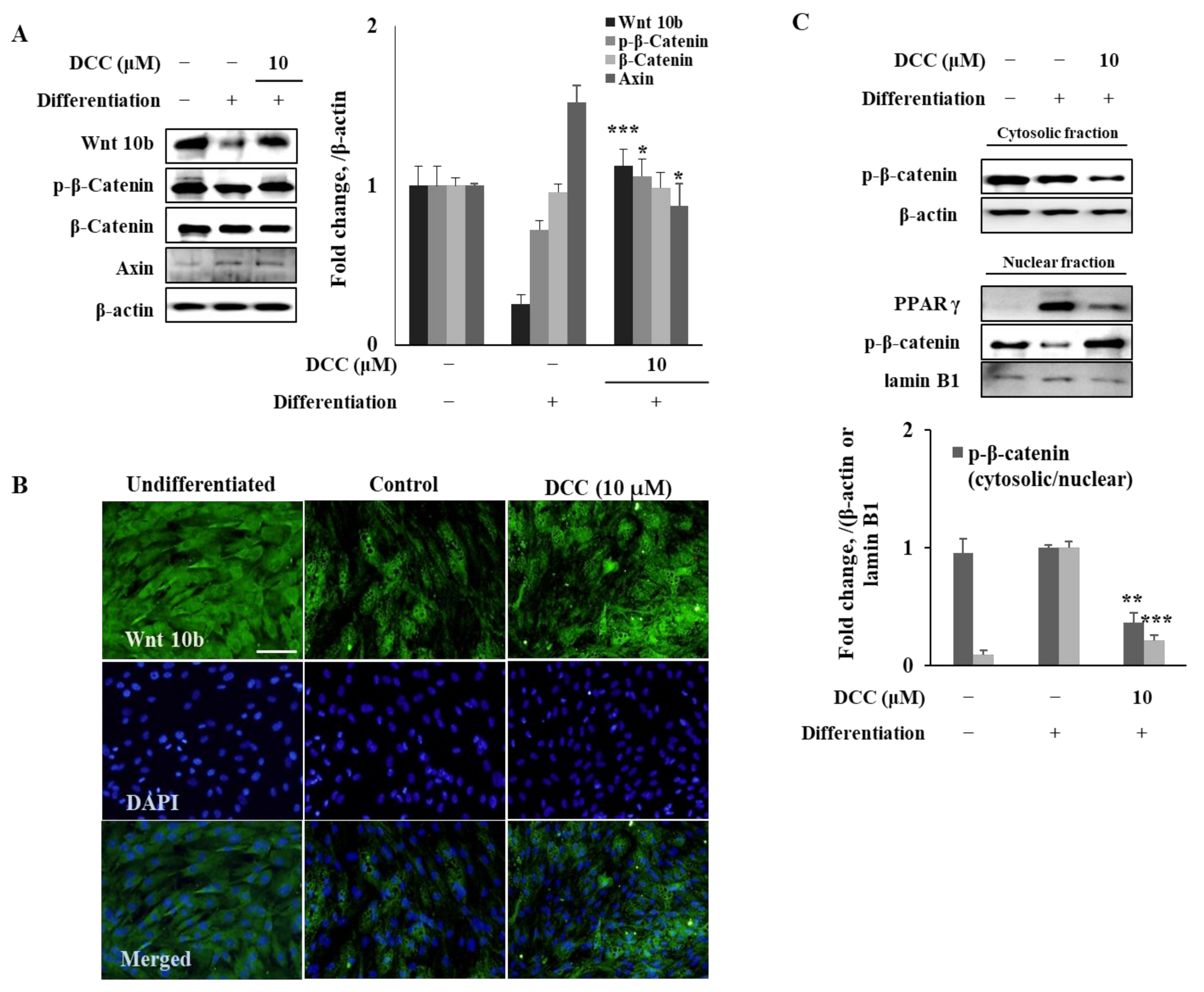 Ijms 23 00653 g003 550
