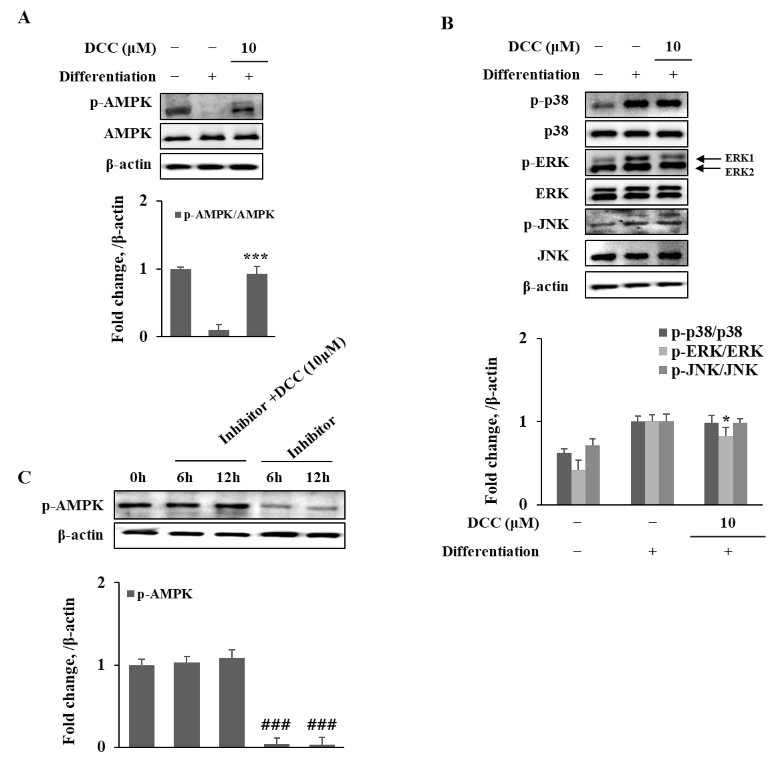 Ijms 23 00653 g004 550