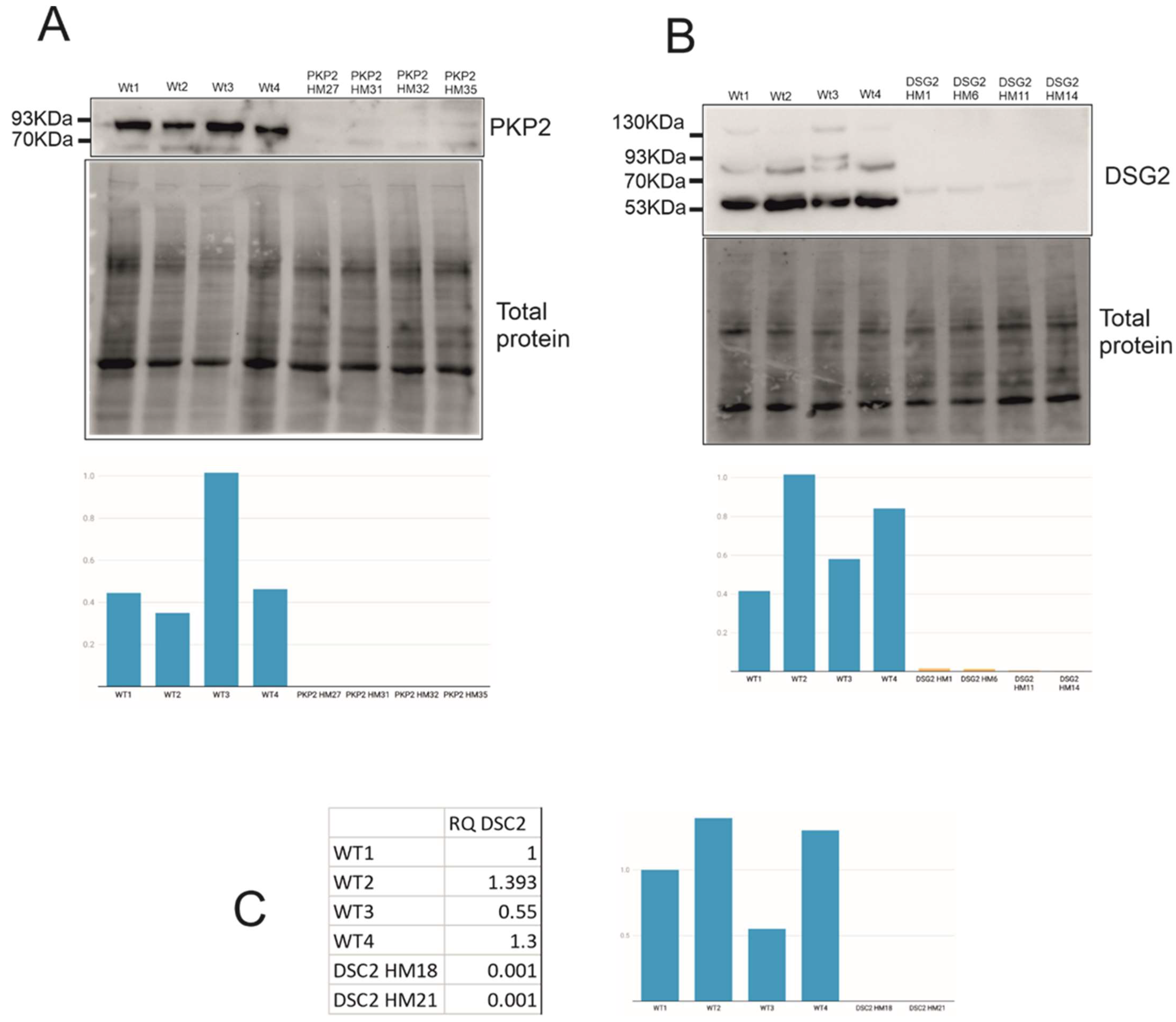Ijms 23 00656 g002 Ijms 23 00656 g002