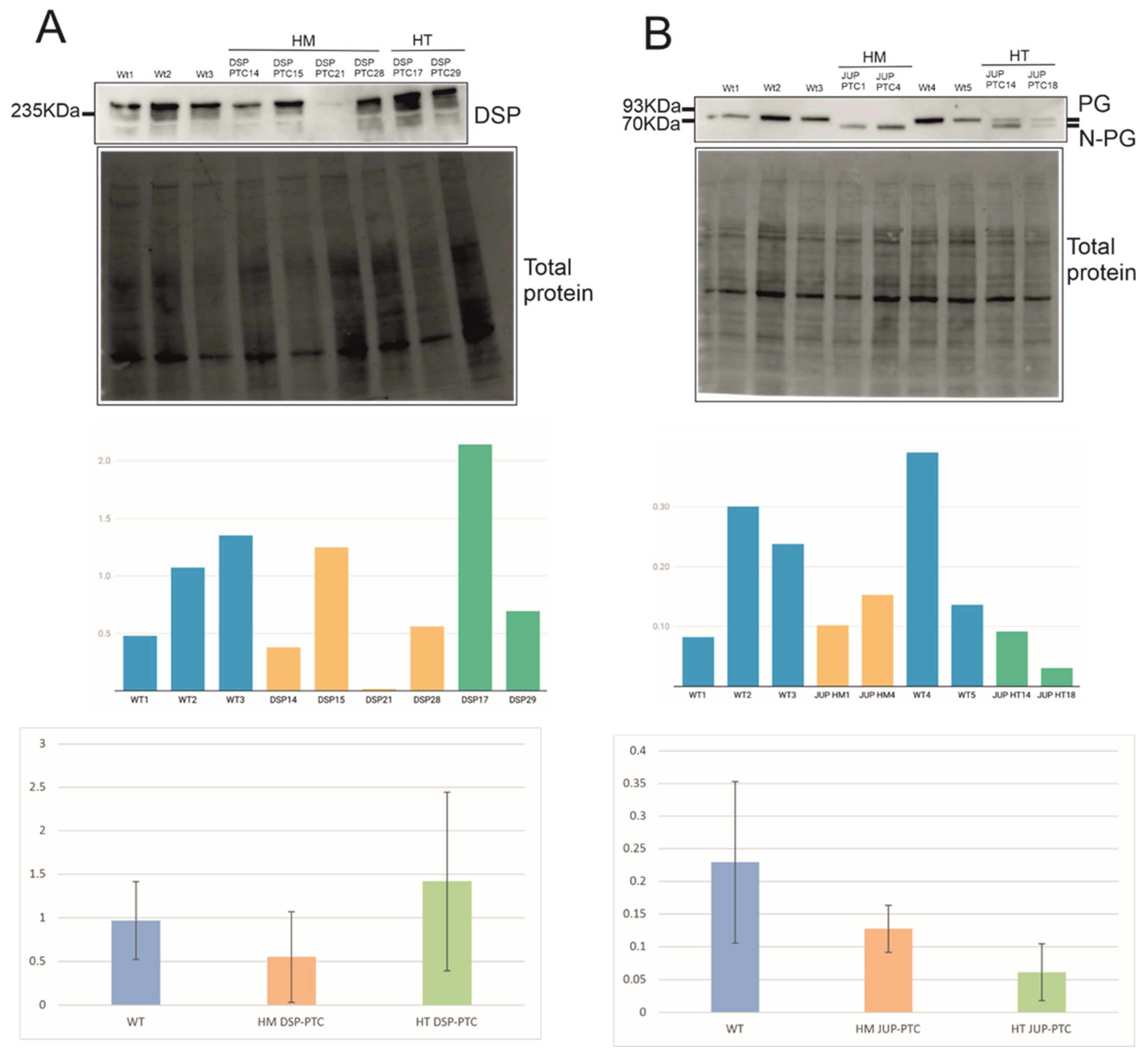 Ijms 23 00656 g003 Ijms 23 00656 g003