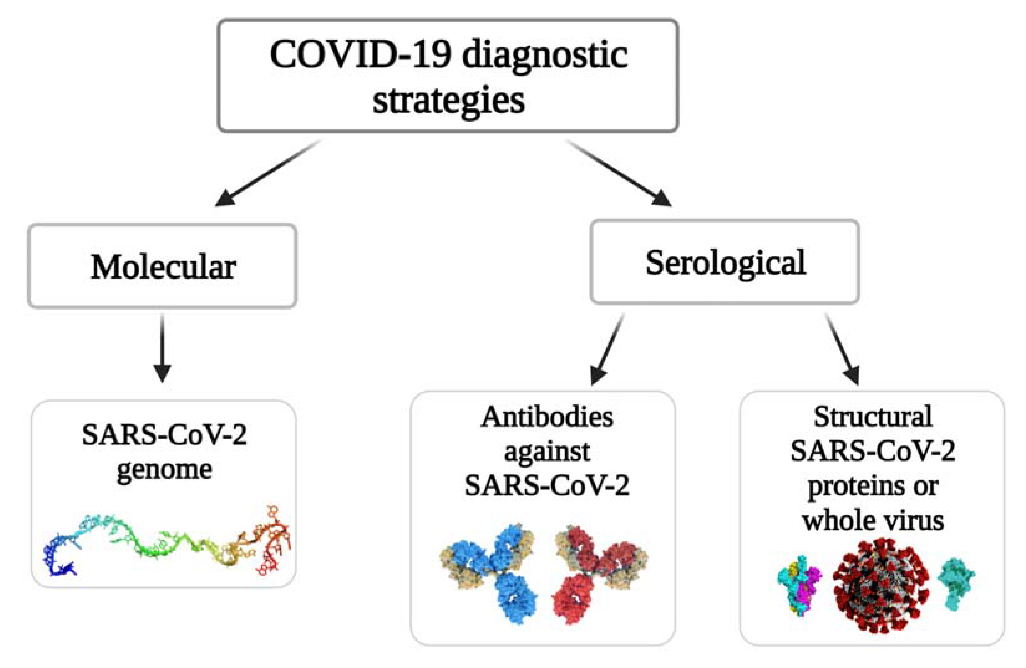 2019-nCoV Neutralization Antibody 2nd Gen Rapid Test Kit (Colloidal Gold  Immunochromatography)