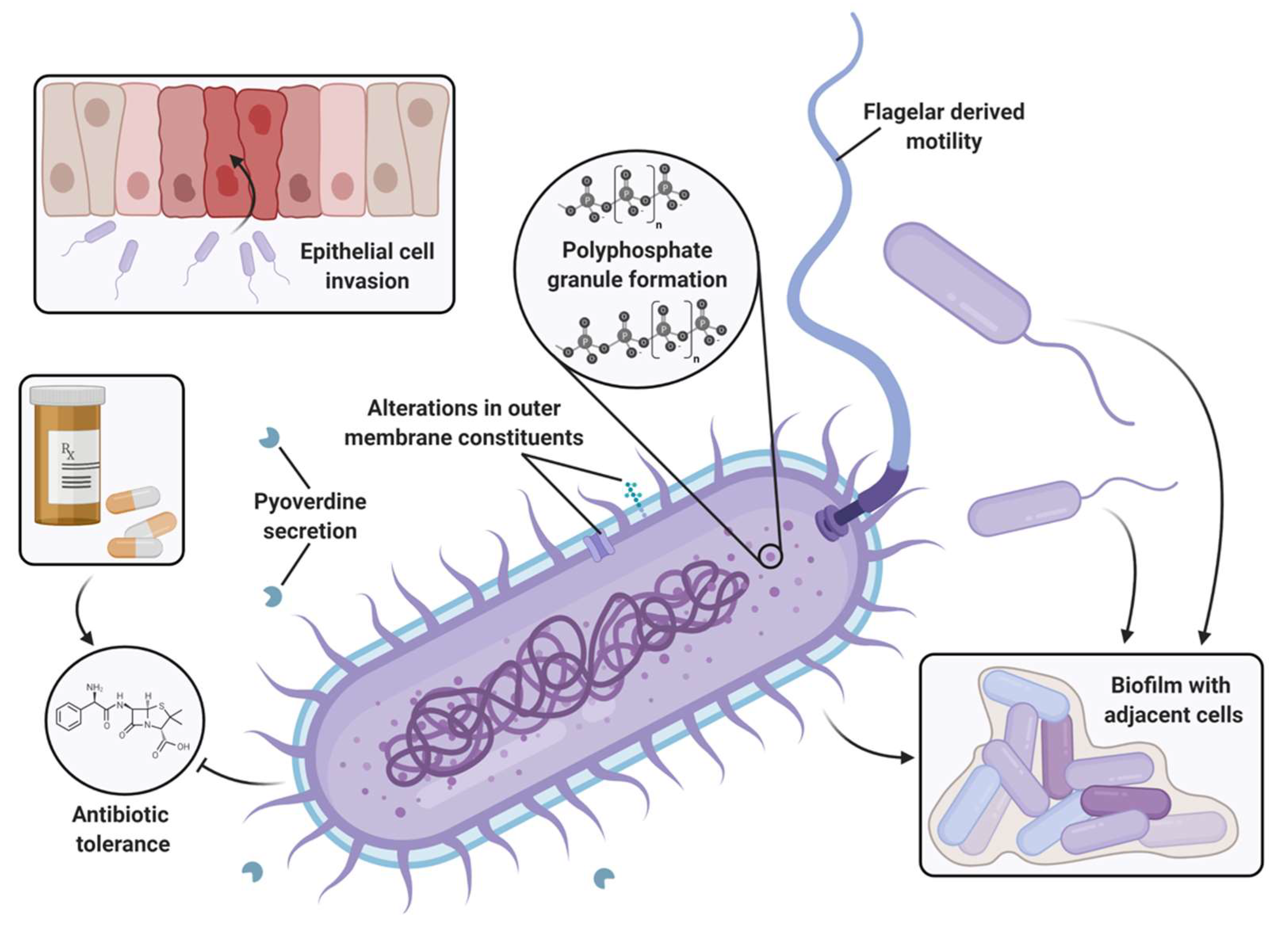 Ijms 23 00670 g003 Ijms 23 00670 g003