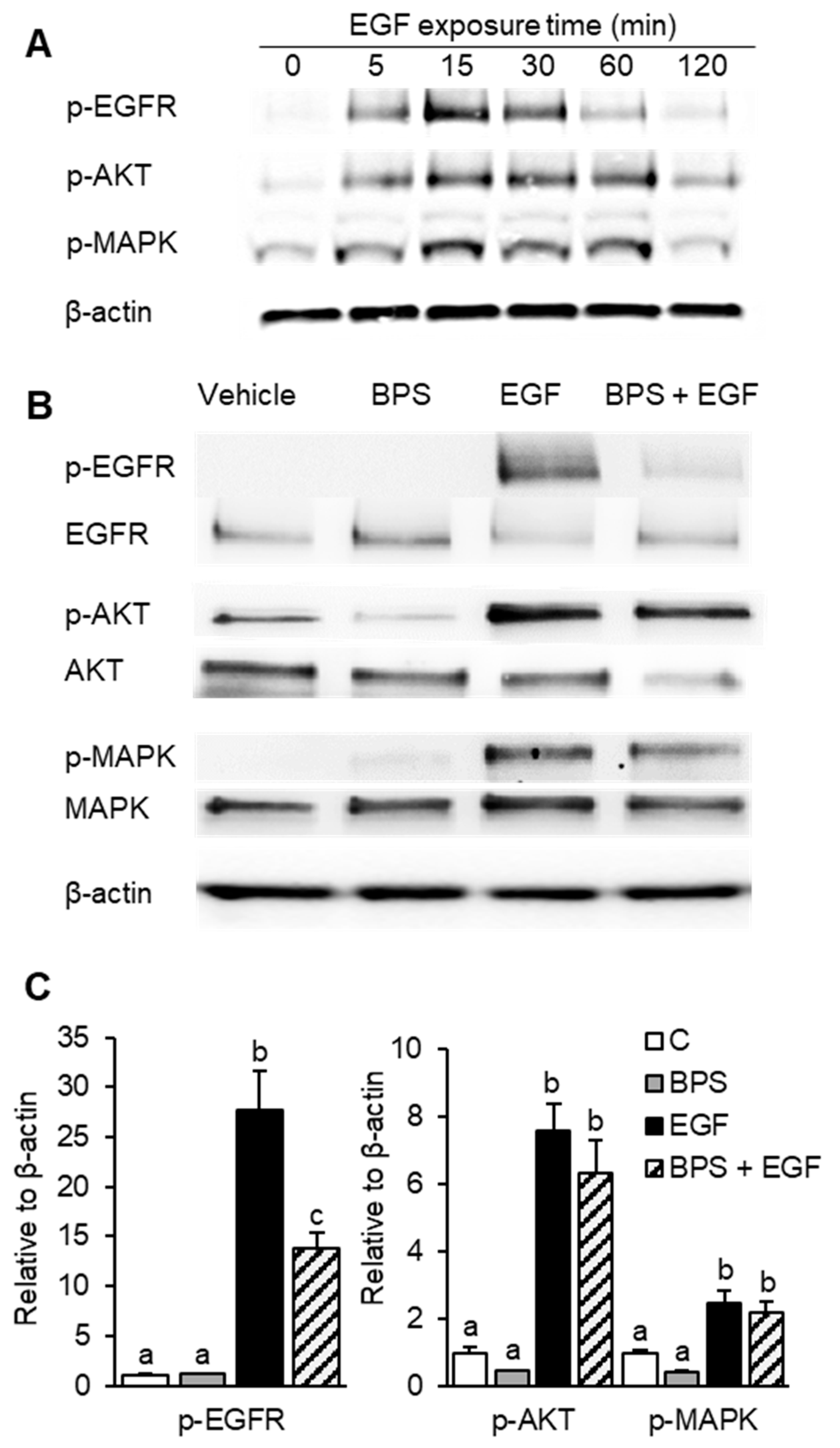 Ijms 23 00671 g001 Ijms 23 00671 g001