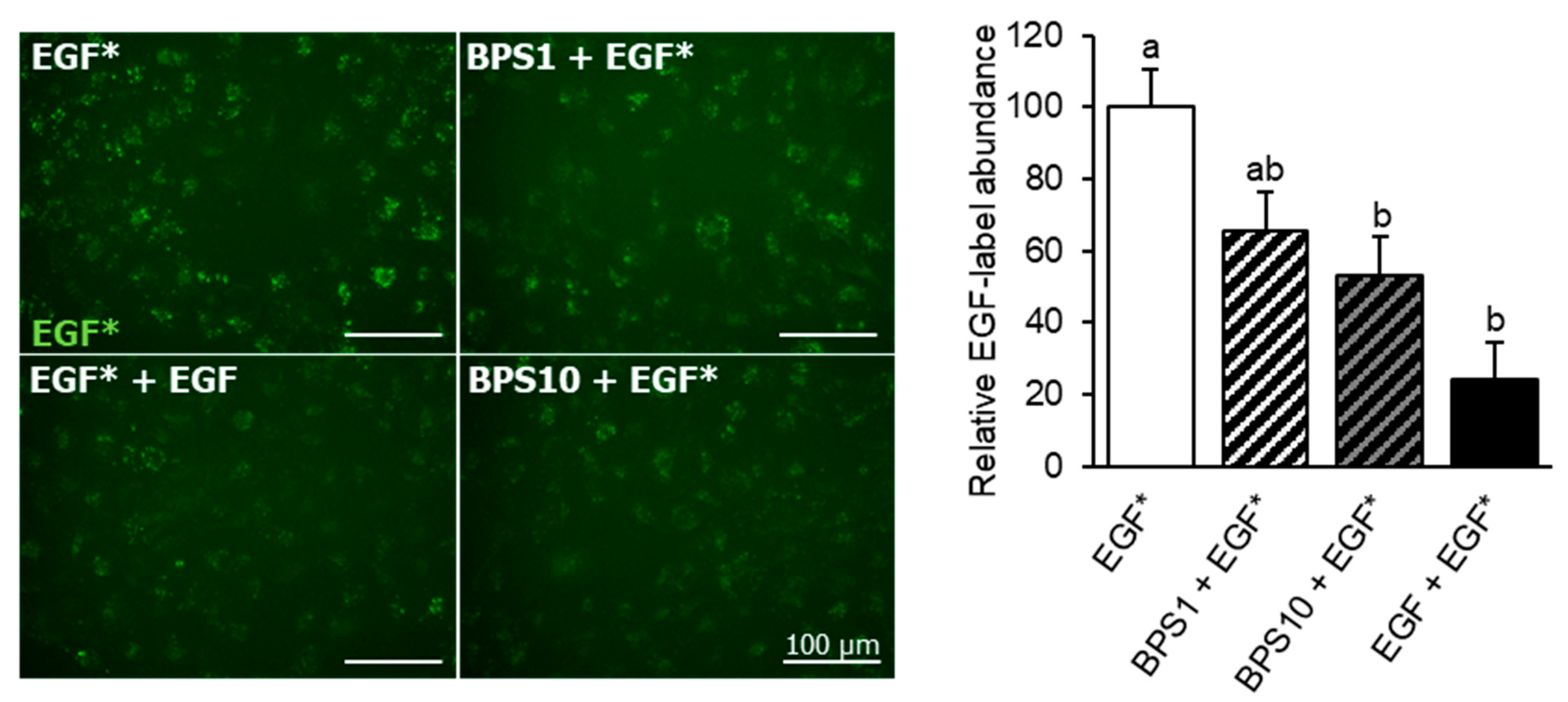 Ijms 23 00671 g002 Ijms 23 00671 g002