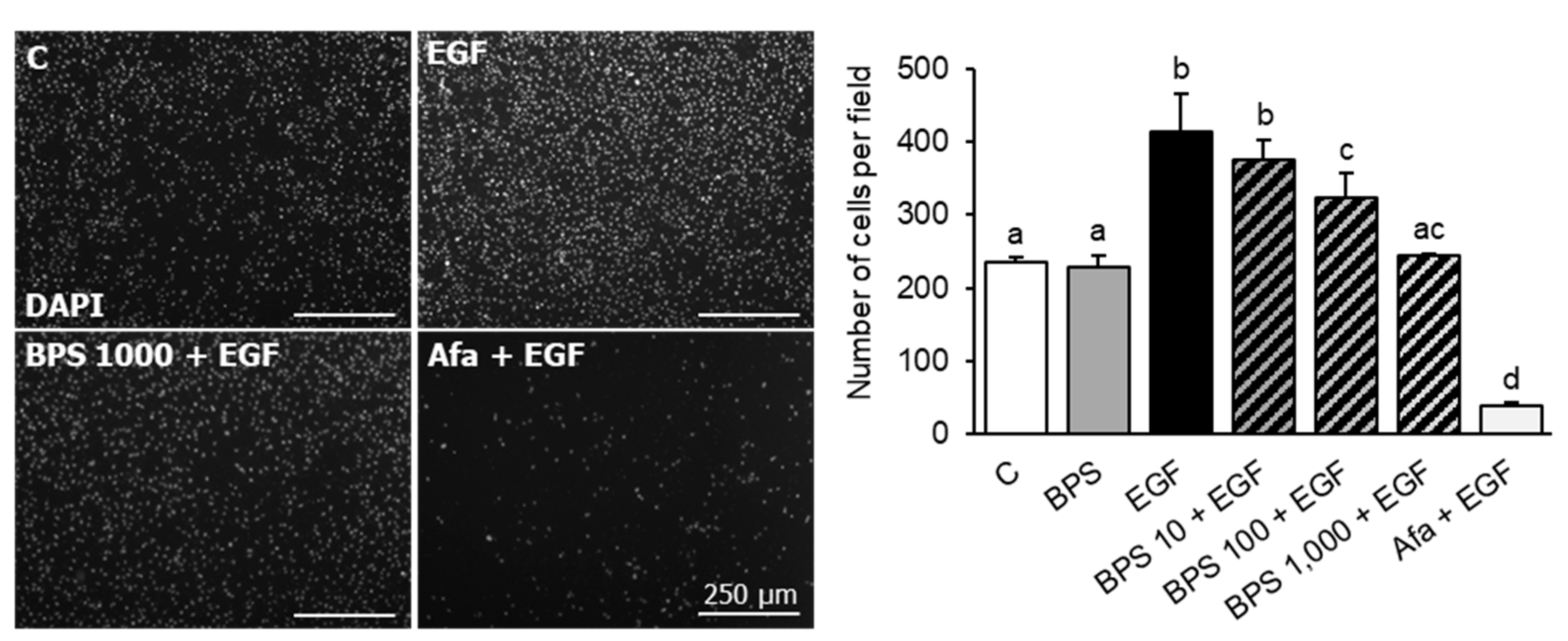 Ijms 23 00671 g004 Ijms 23 00671 g004