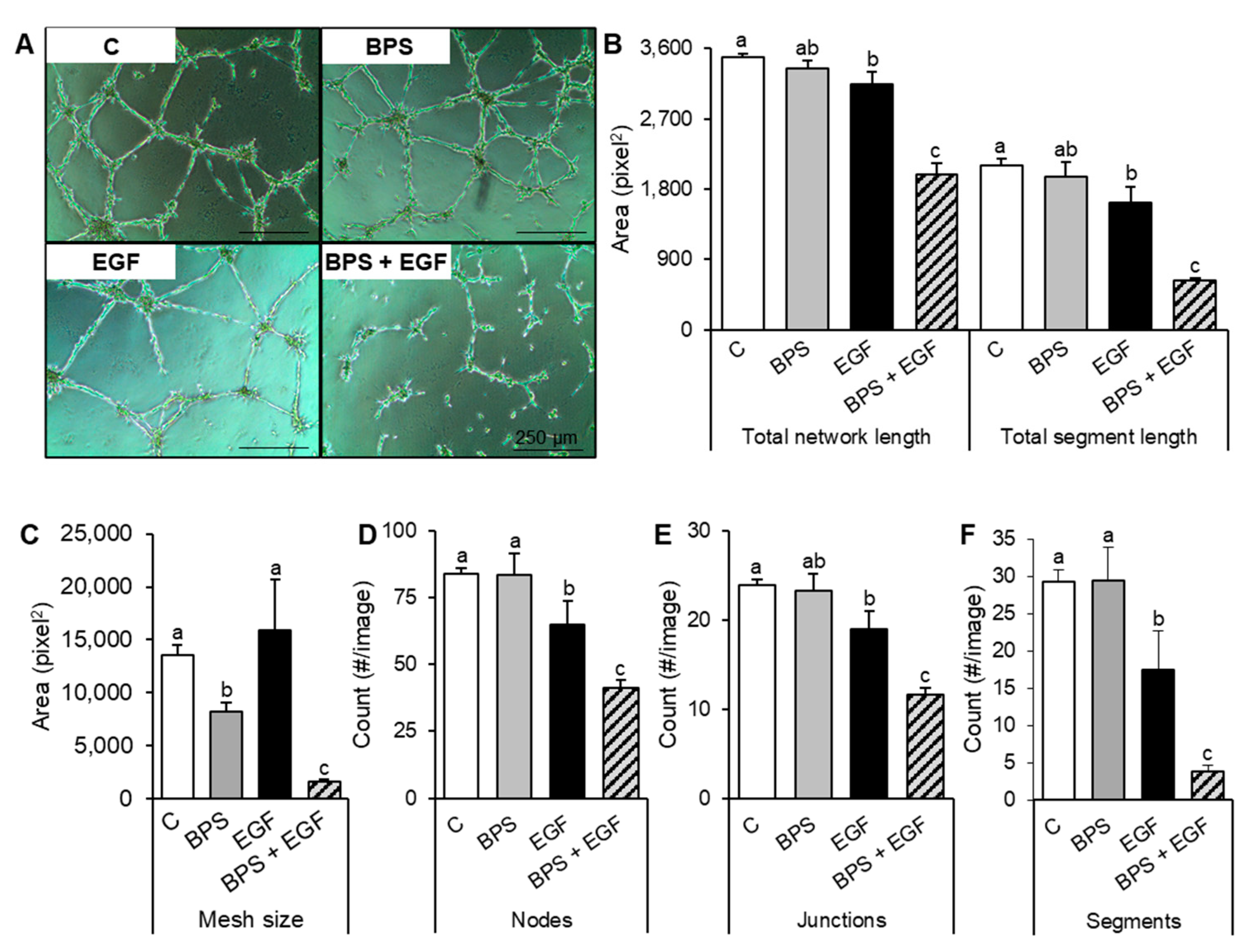 Ijms 23 00671 g006 Ijms 23 00671 g006
