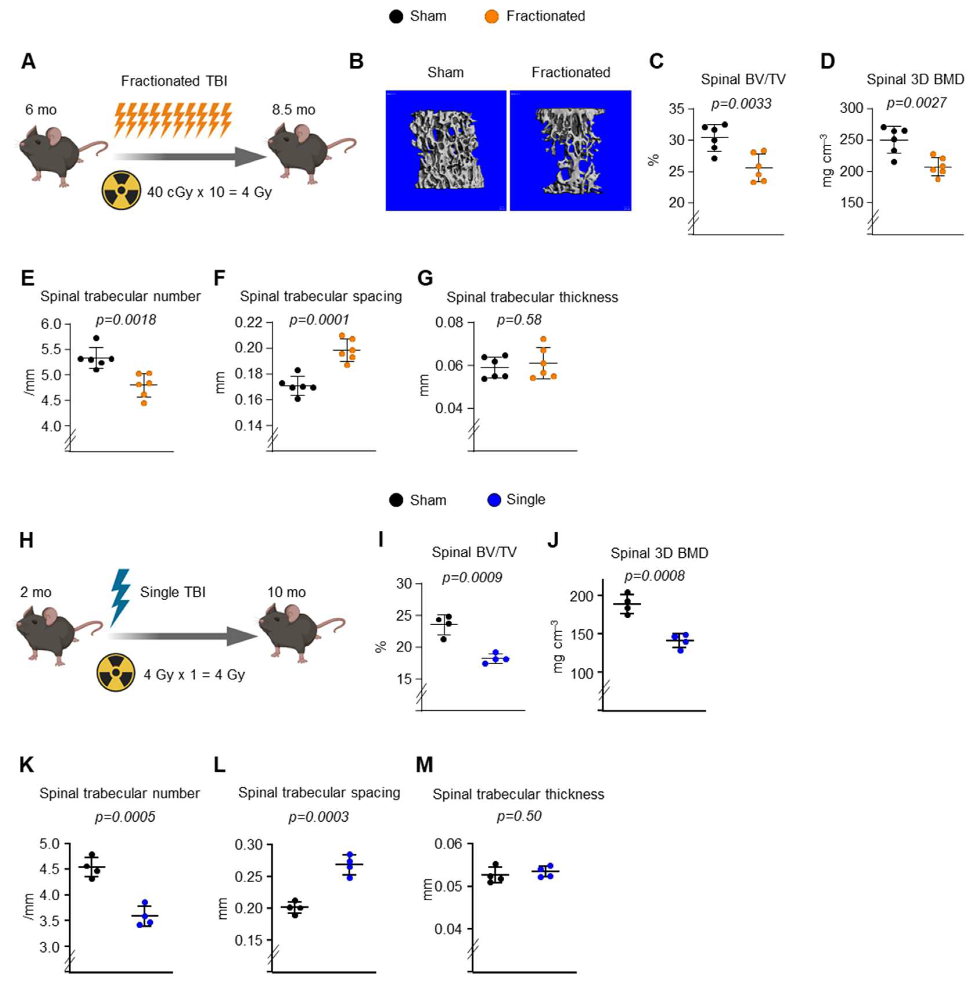 Ijms 23 00675 g001 550
