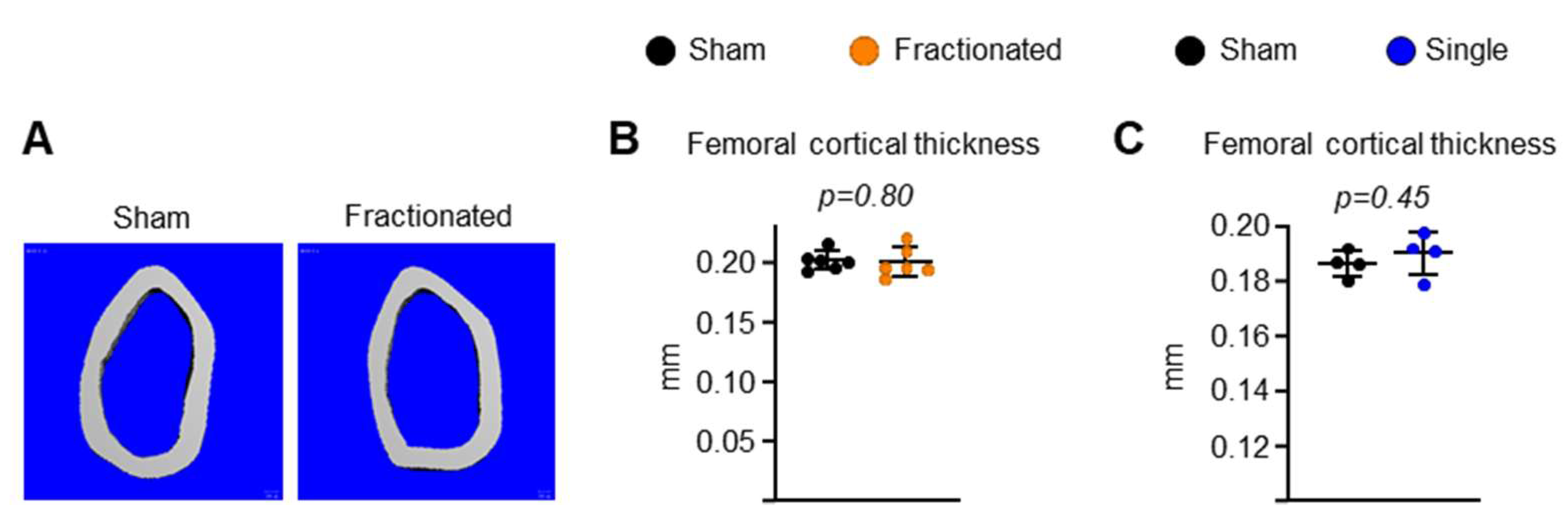 Ijms 23 00675 g003 550