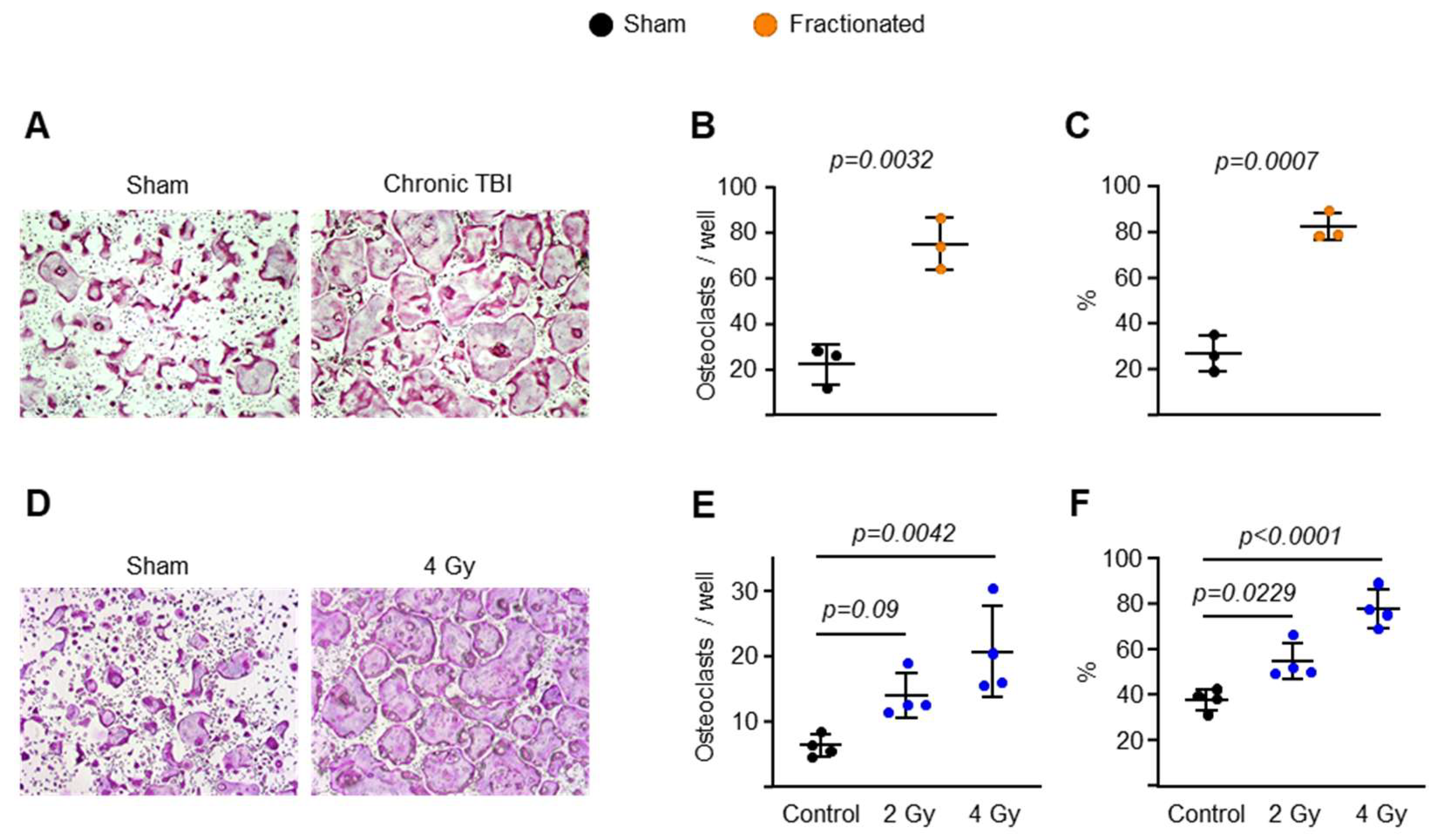 Ijms 23 00675 g005 550