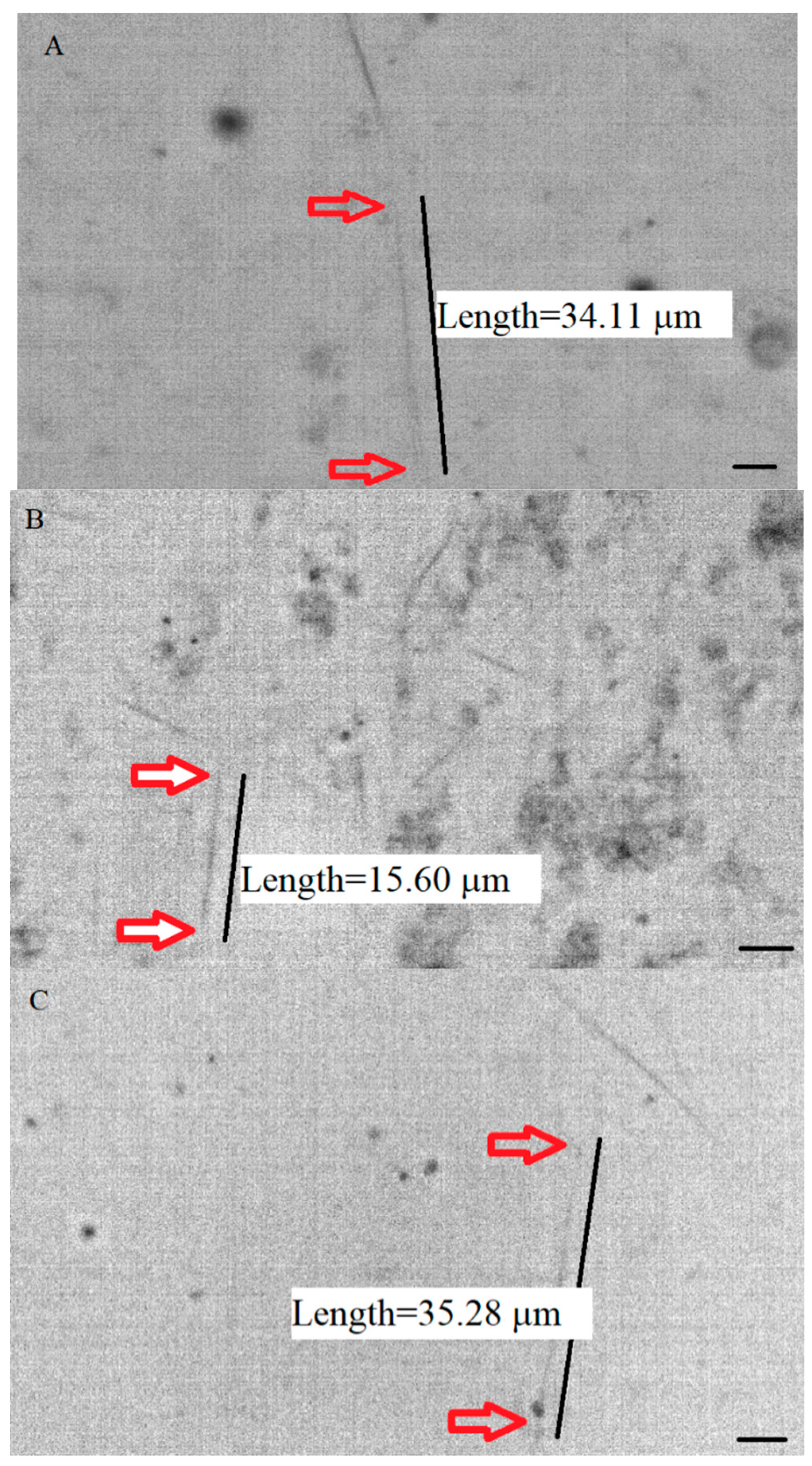 Ijms 23 00677 g001