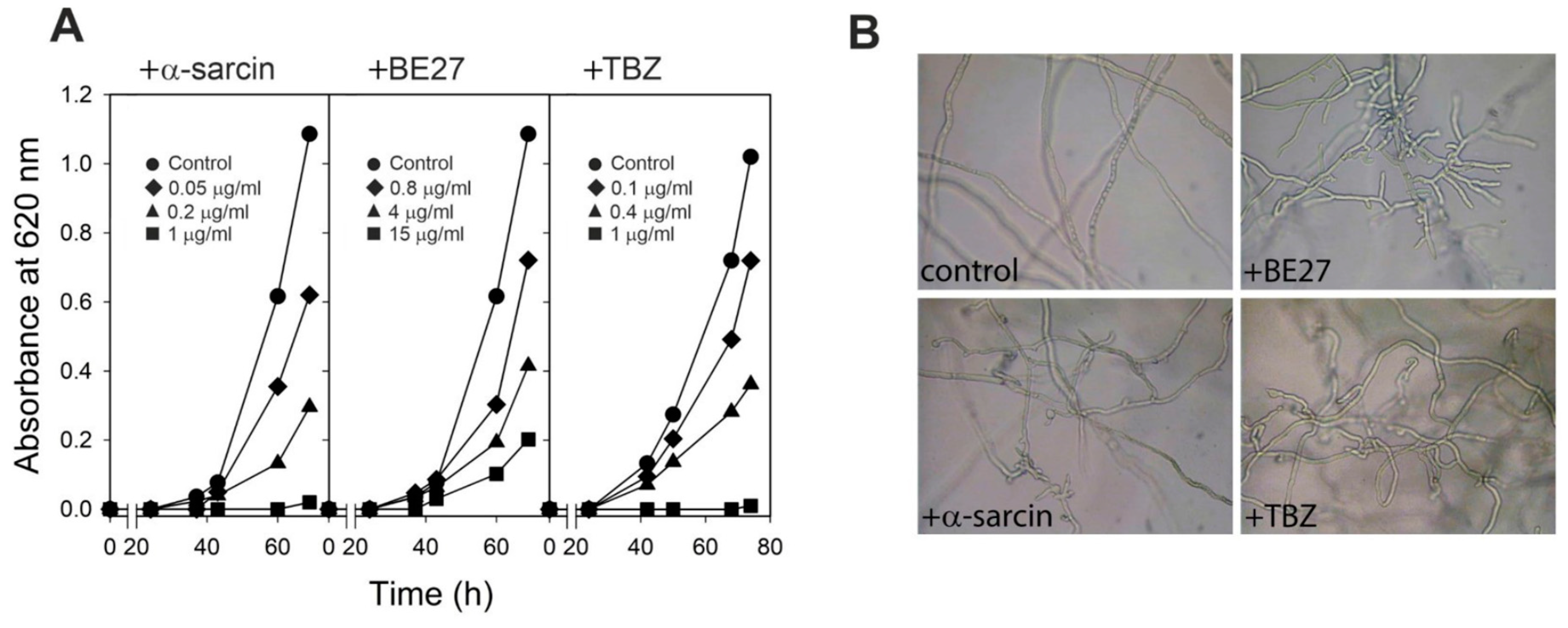 Ijms 23 00680 g001 550