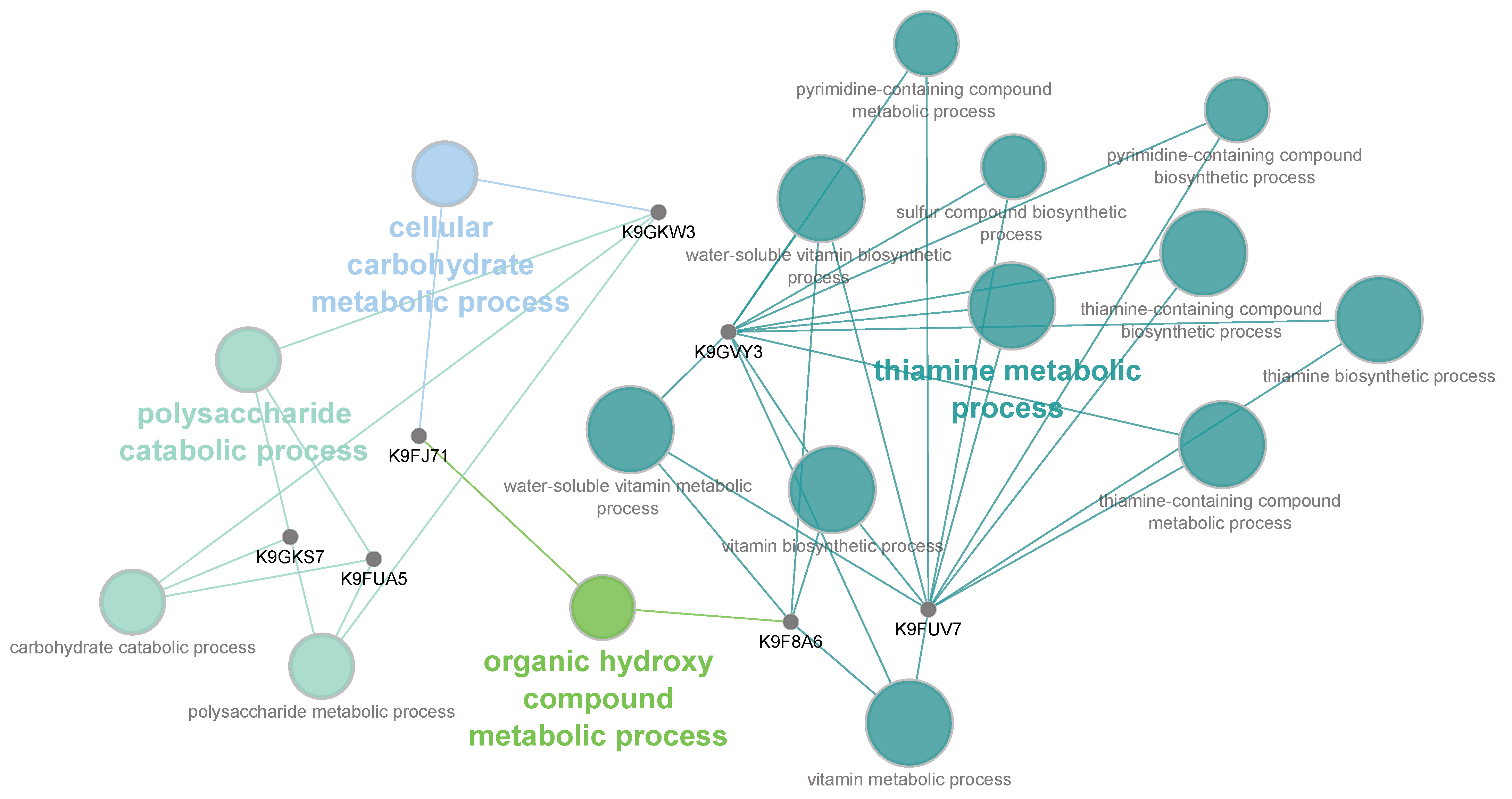 Ijms 23 00680 g004 550