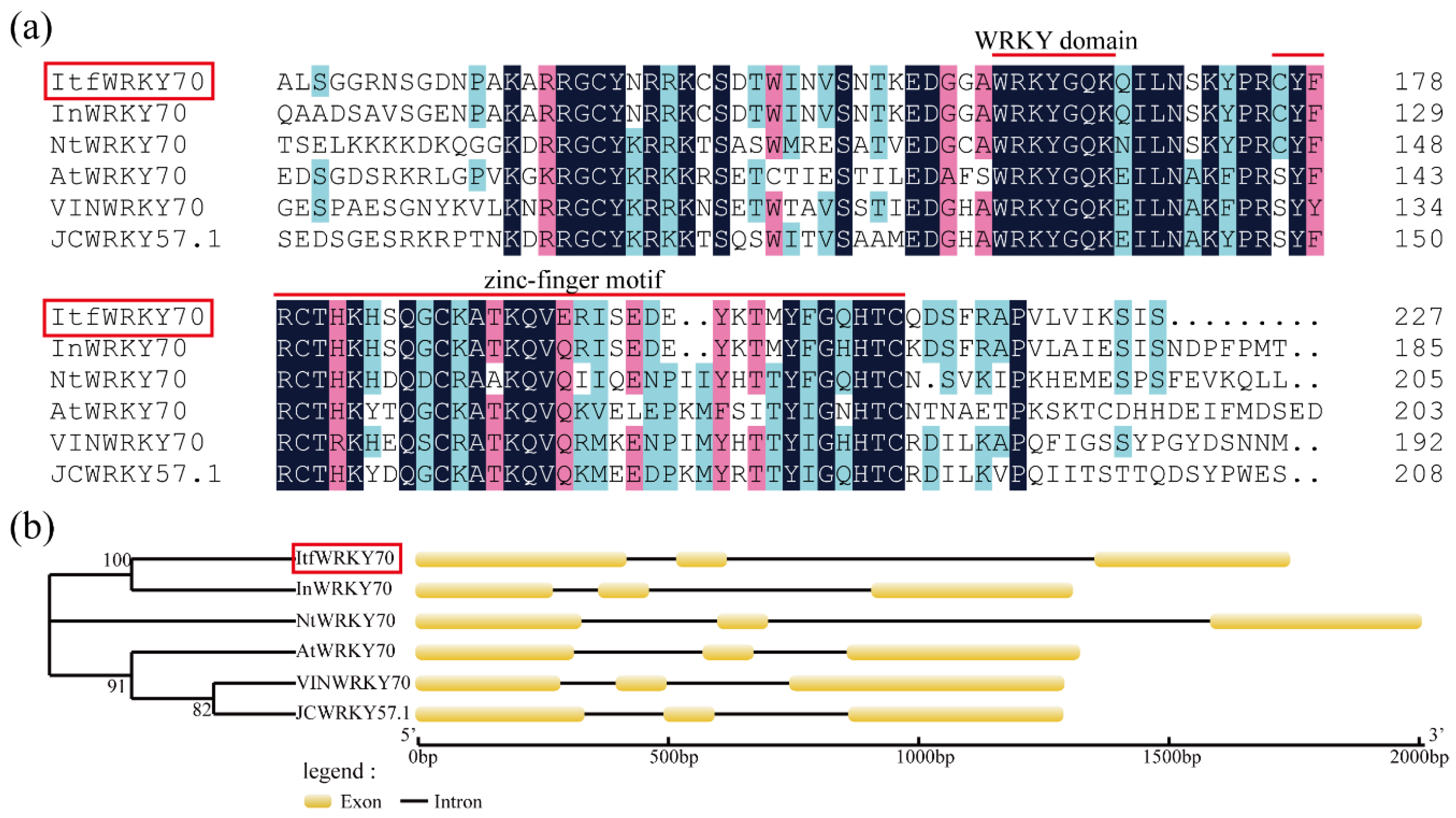 Ijms 23 00686 g001 550