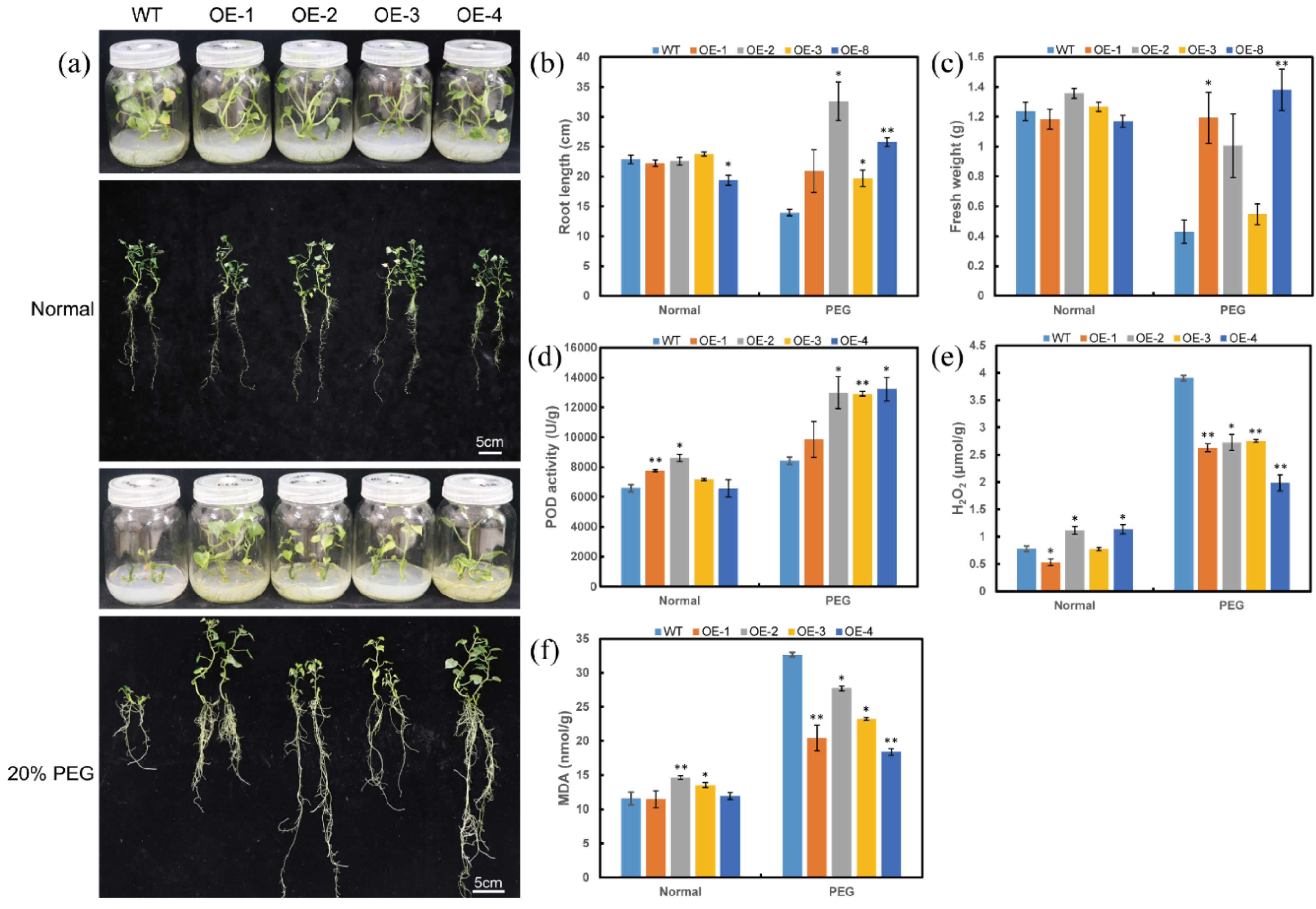 Ijms 23 00686 g005 550