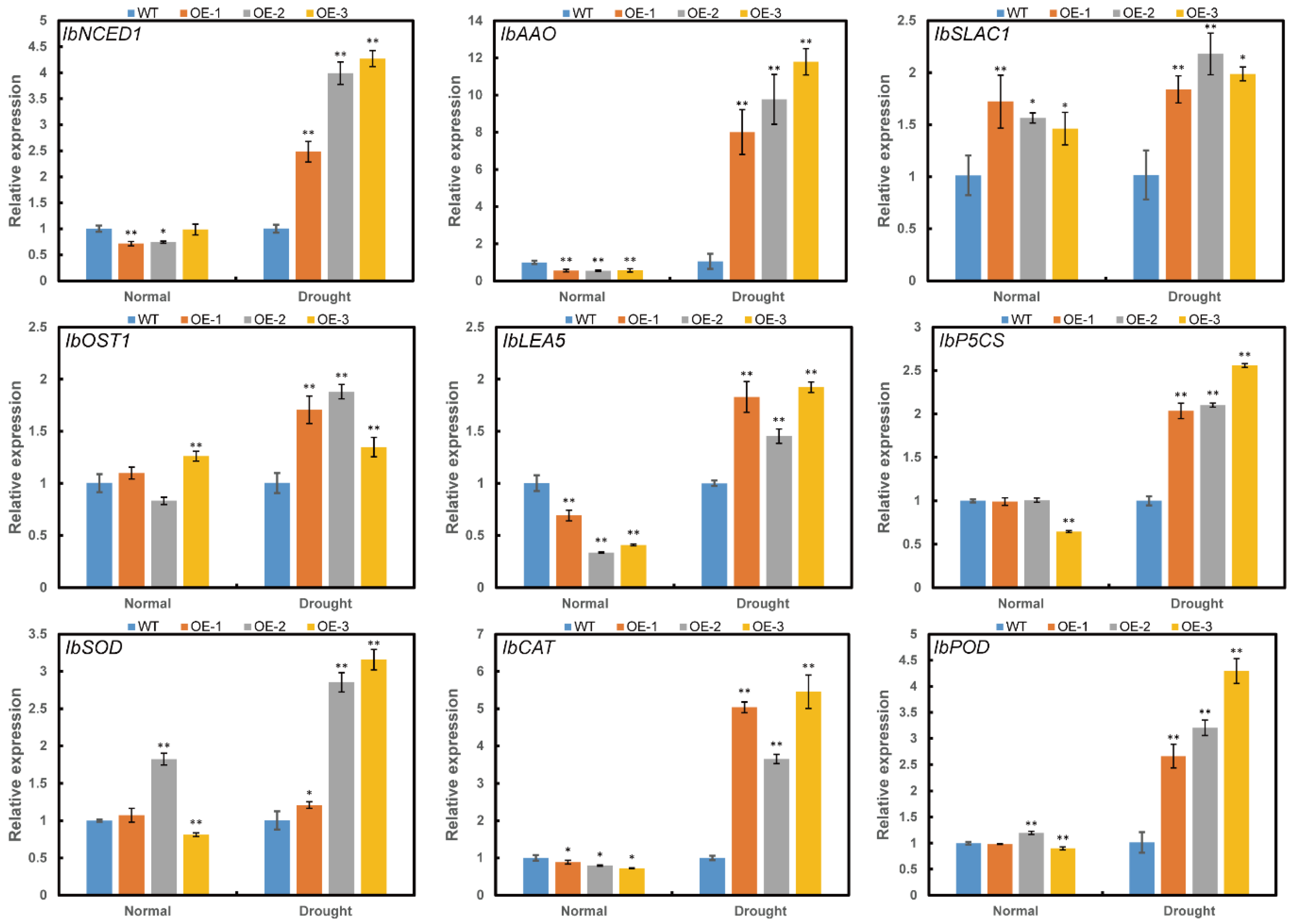 Ijms 23 00686 g008 550