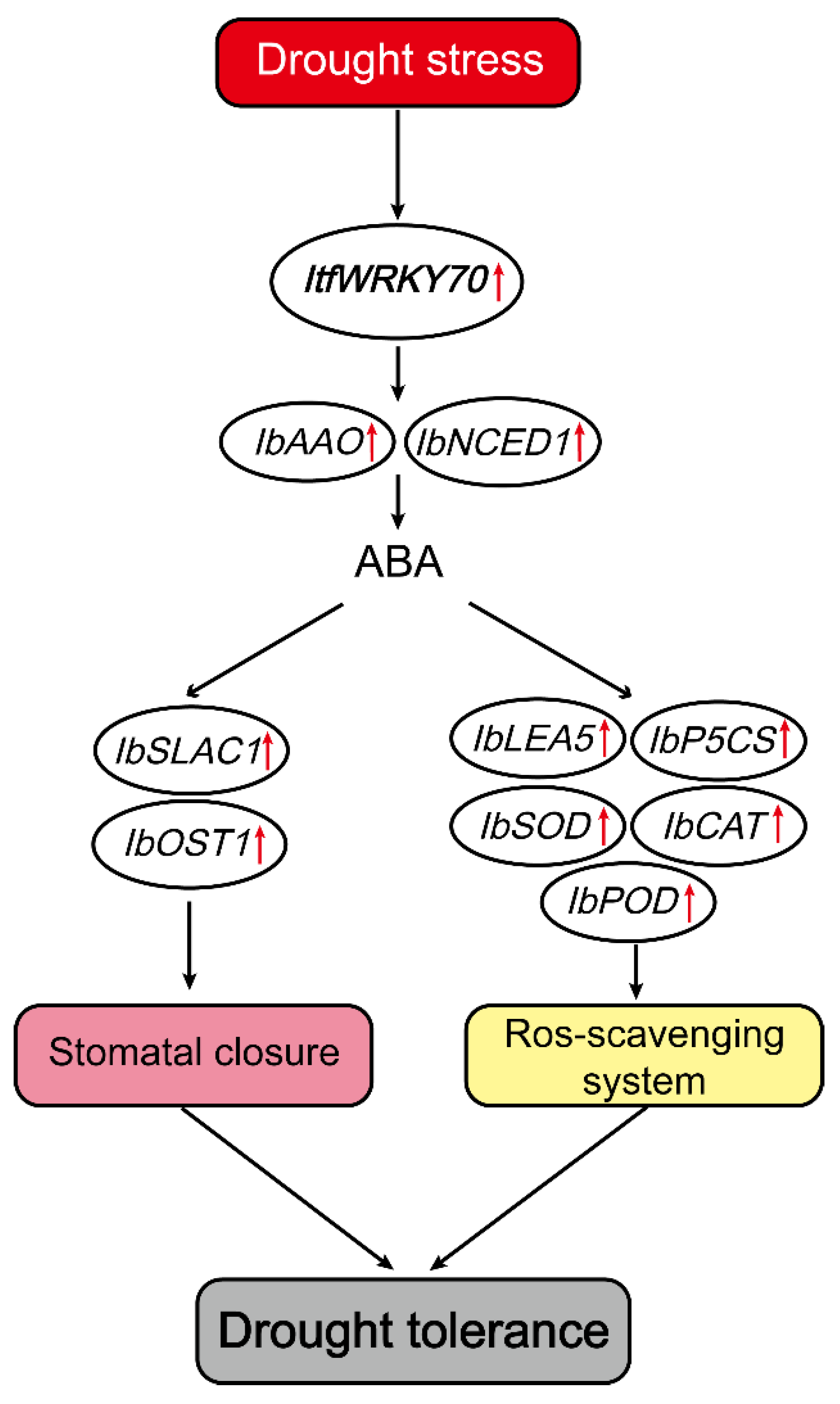 Ijms 23 00686 g009 550