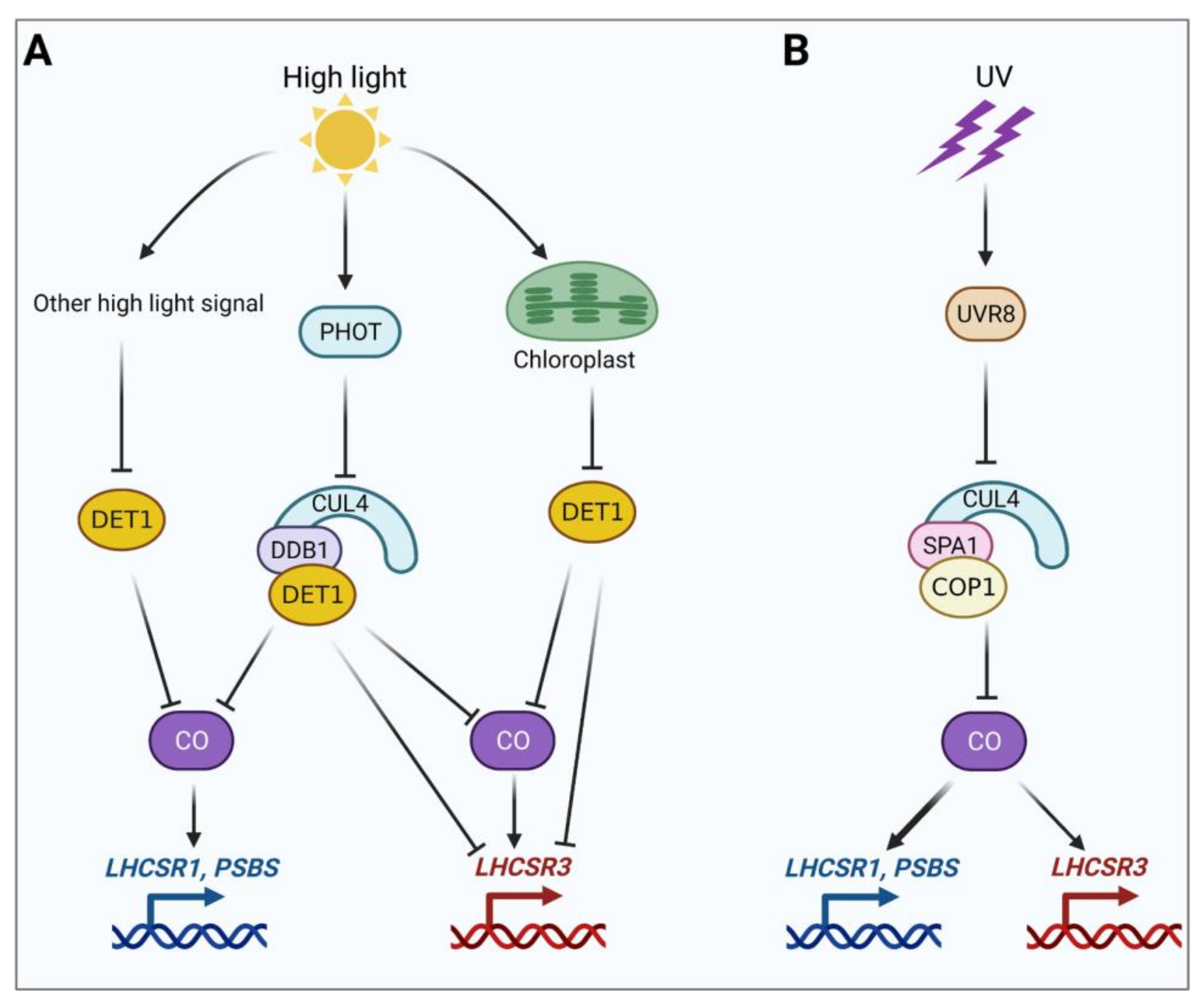 Ijms 23 00687 g001 550