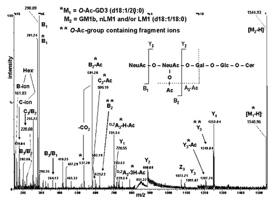 Gangliosides as Biomarkers of Human Brain Diseases: Trends