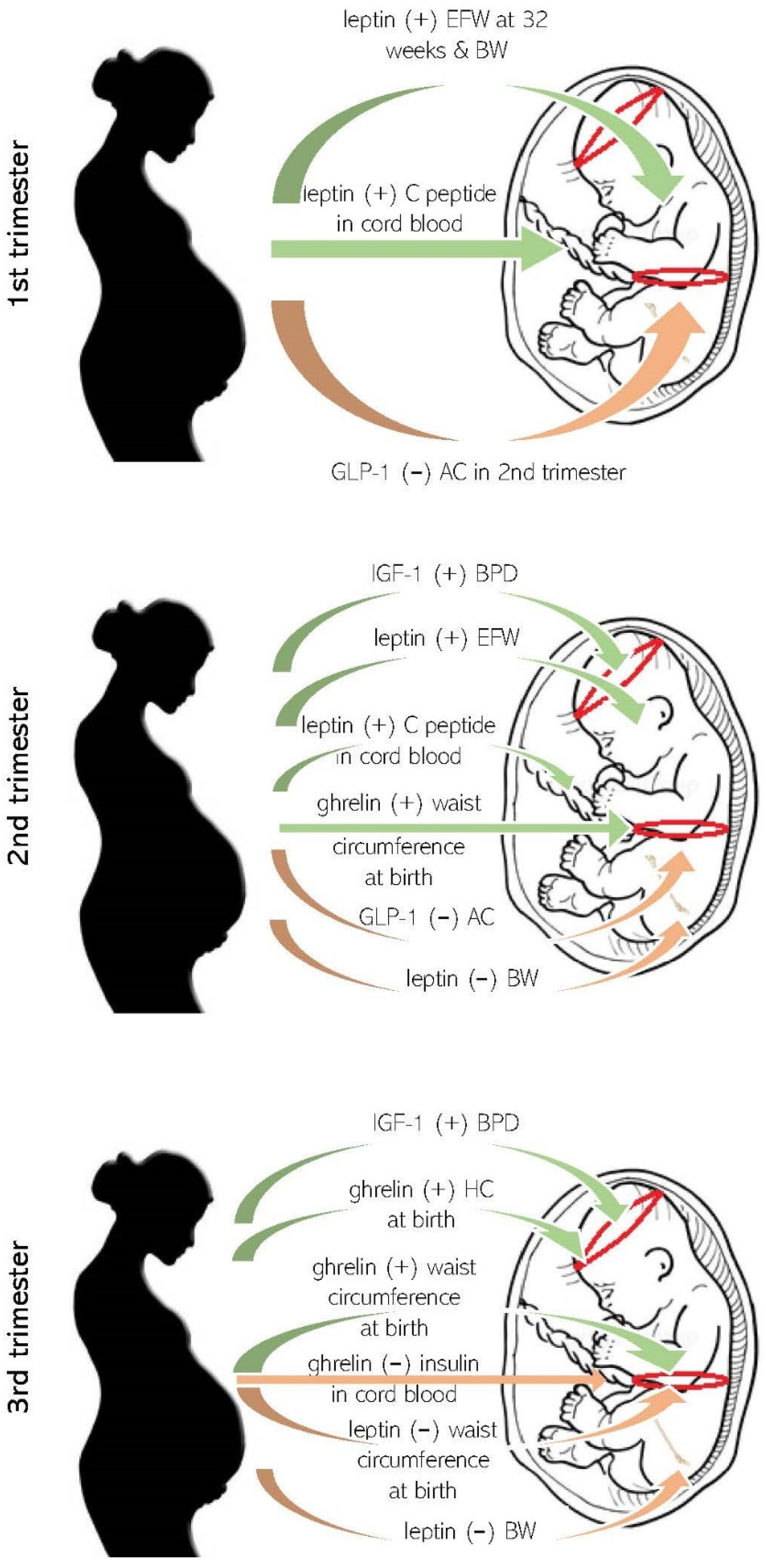 Ijms 23 00695 g002 Ijms 23 00695 g002