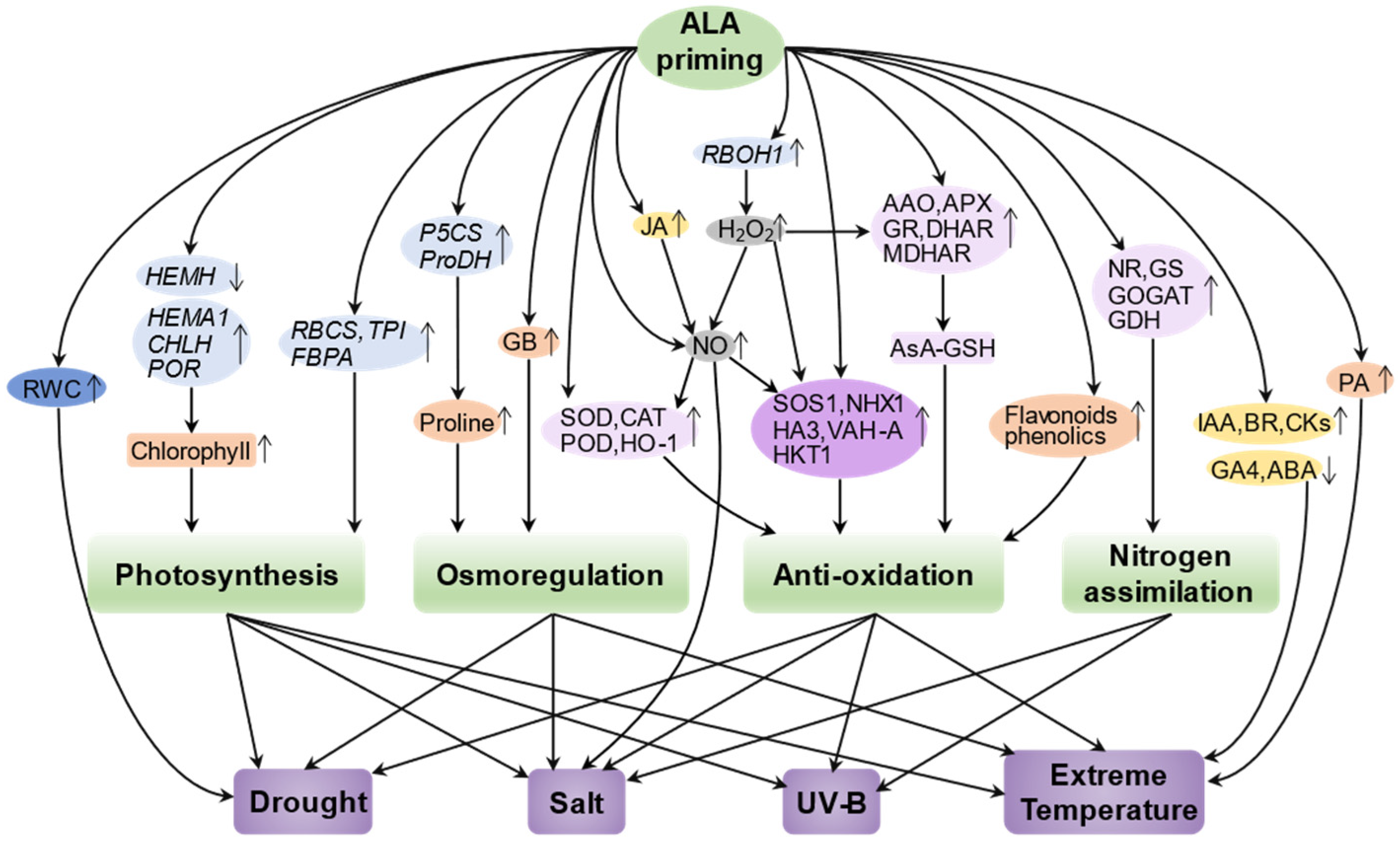 Ijms 23 00702 g003 550