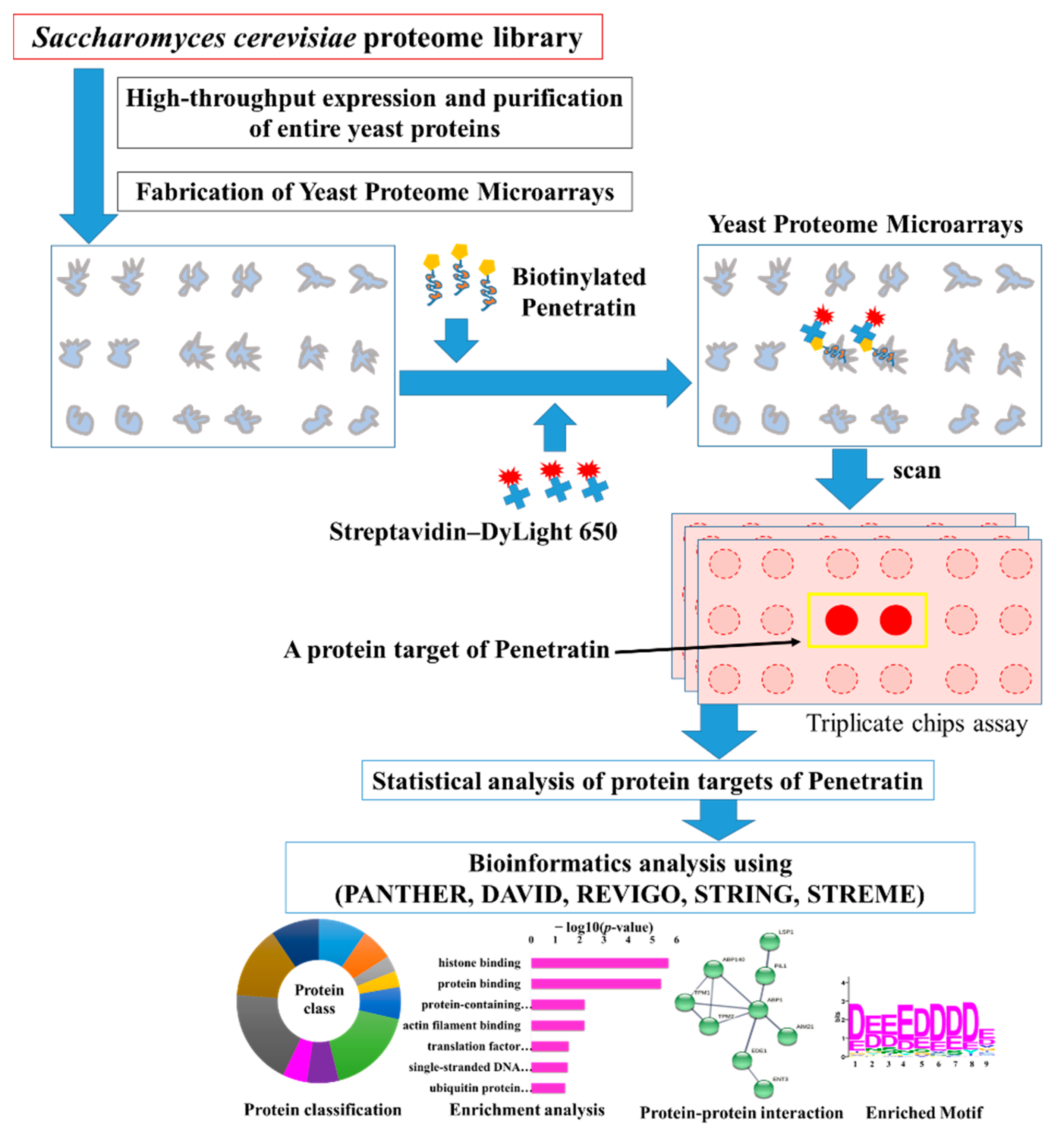 Ijms 23 00712 g001 550