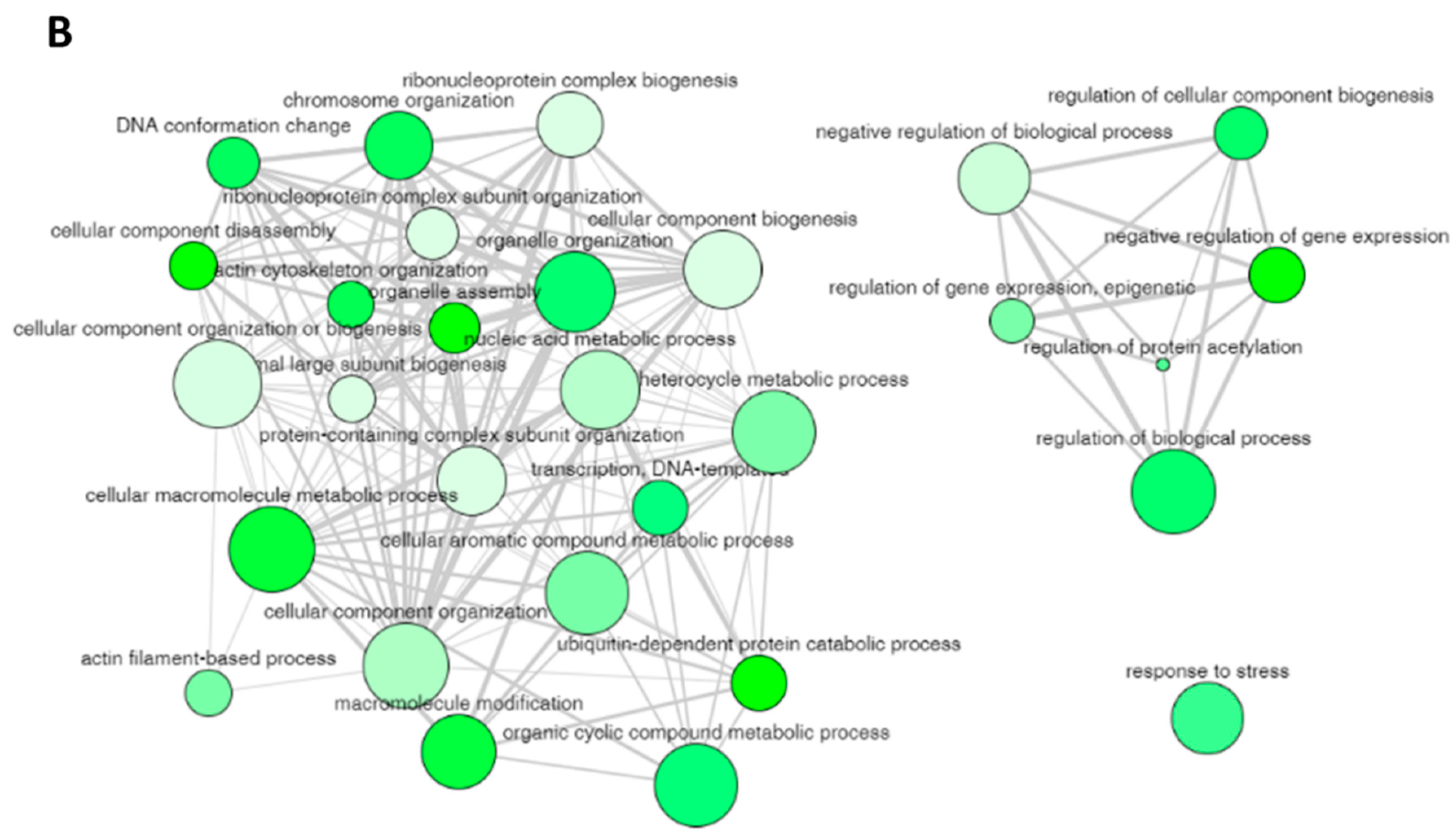 Ijms 23 00712 g004b 550