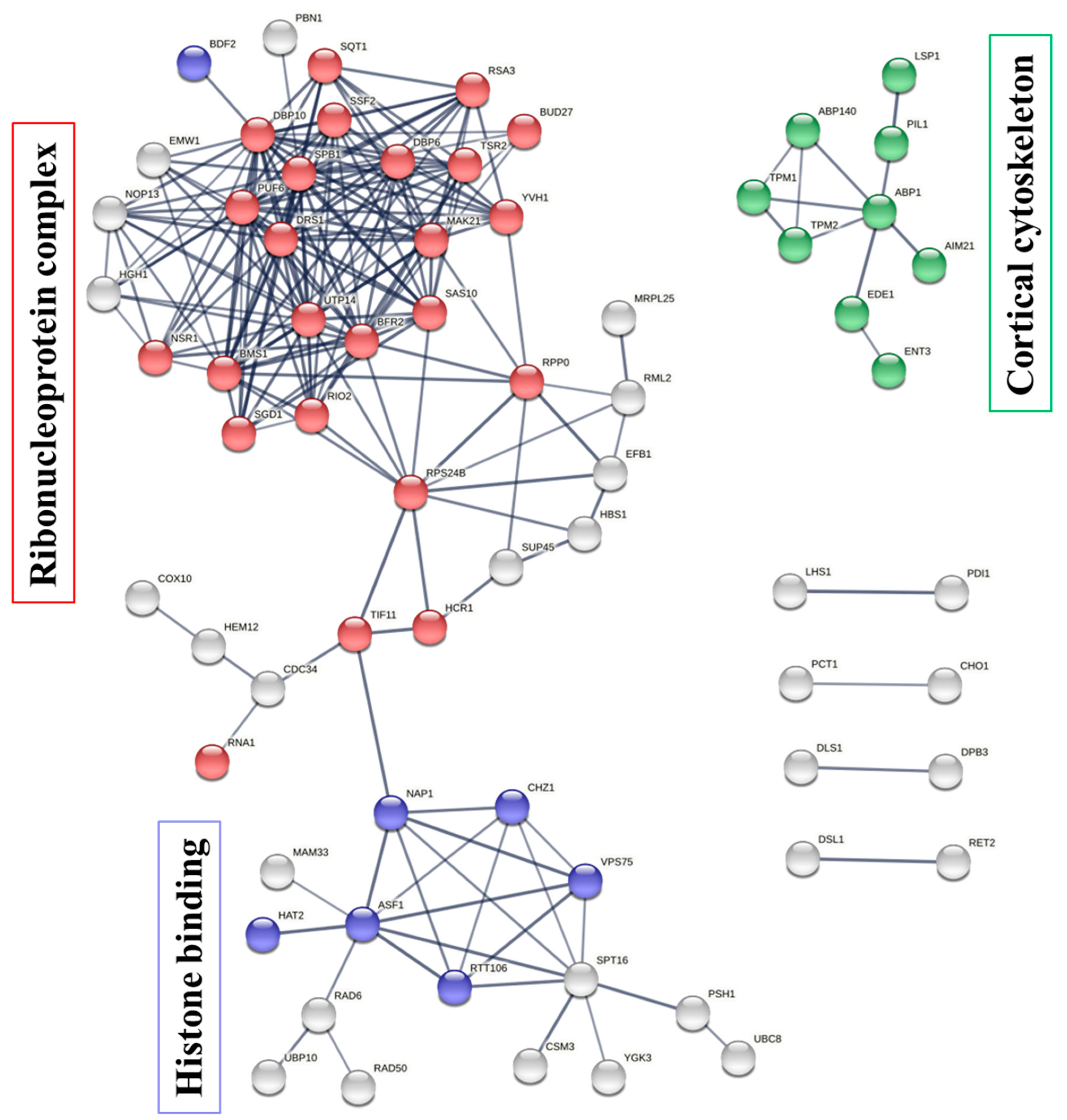 Ijms 23 00712 g007 550
