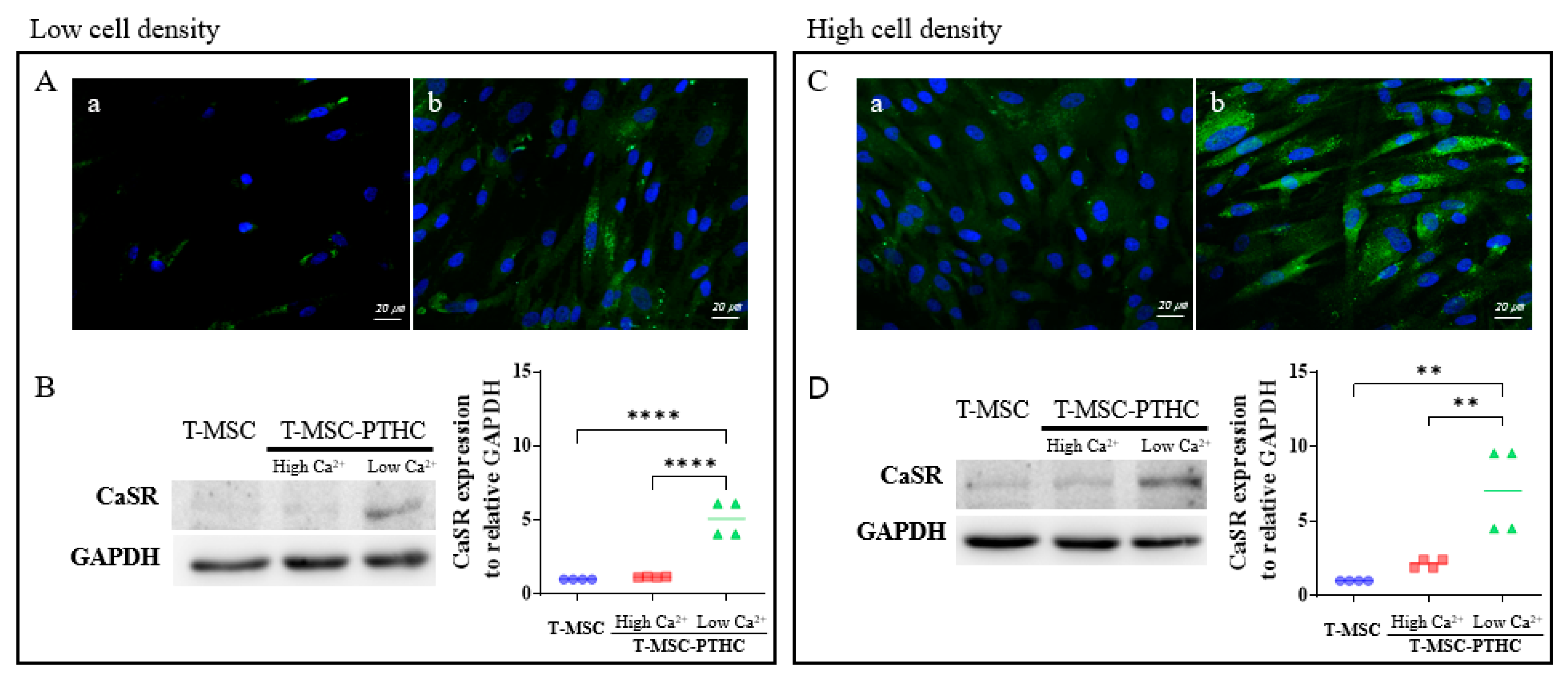 Ijms 23 00715 g003 Ijms 23 00715 g003