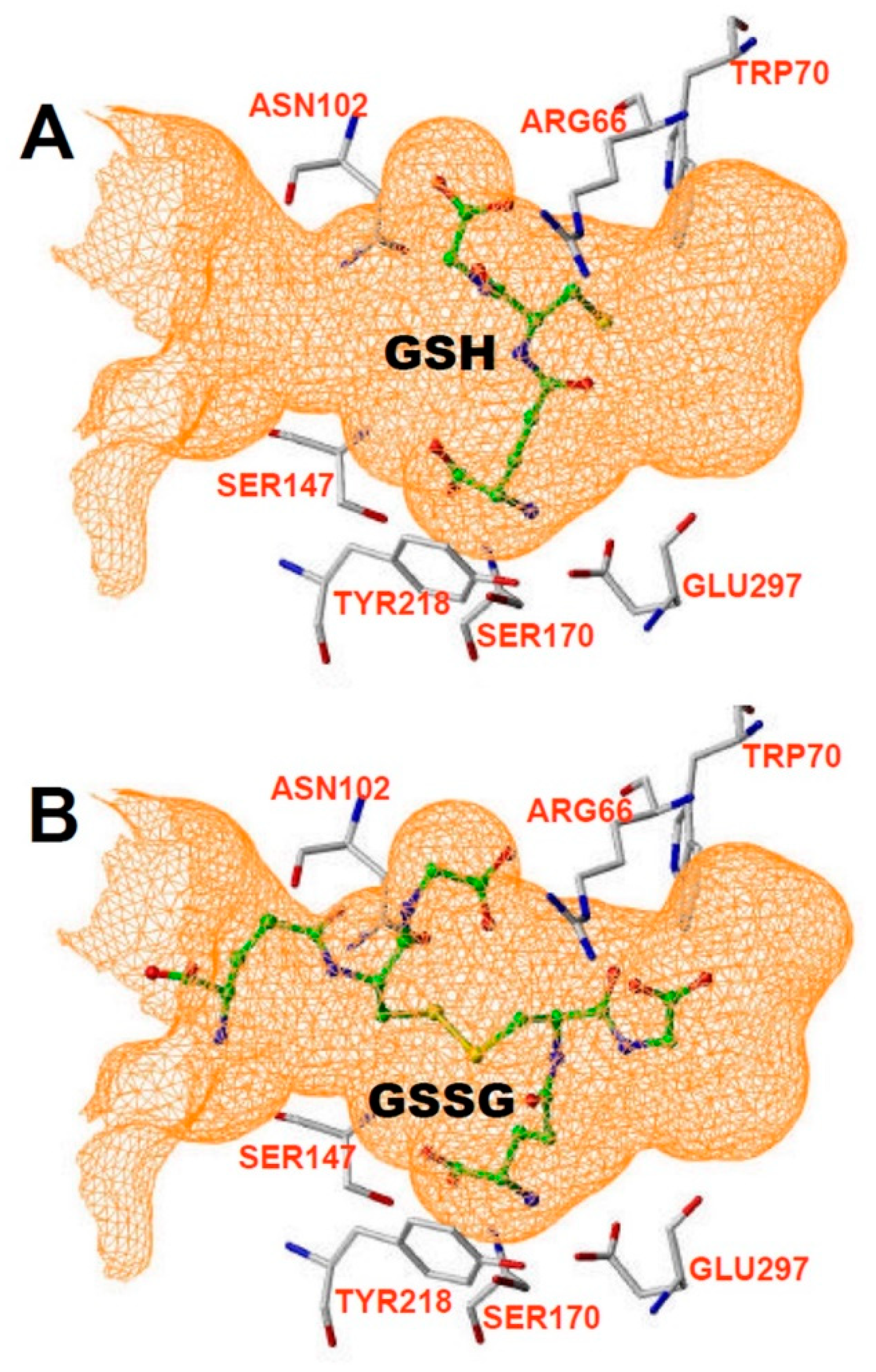 Ijms 23 00717 g003 550