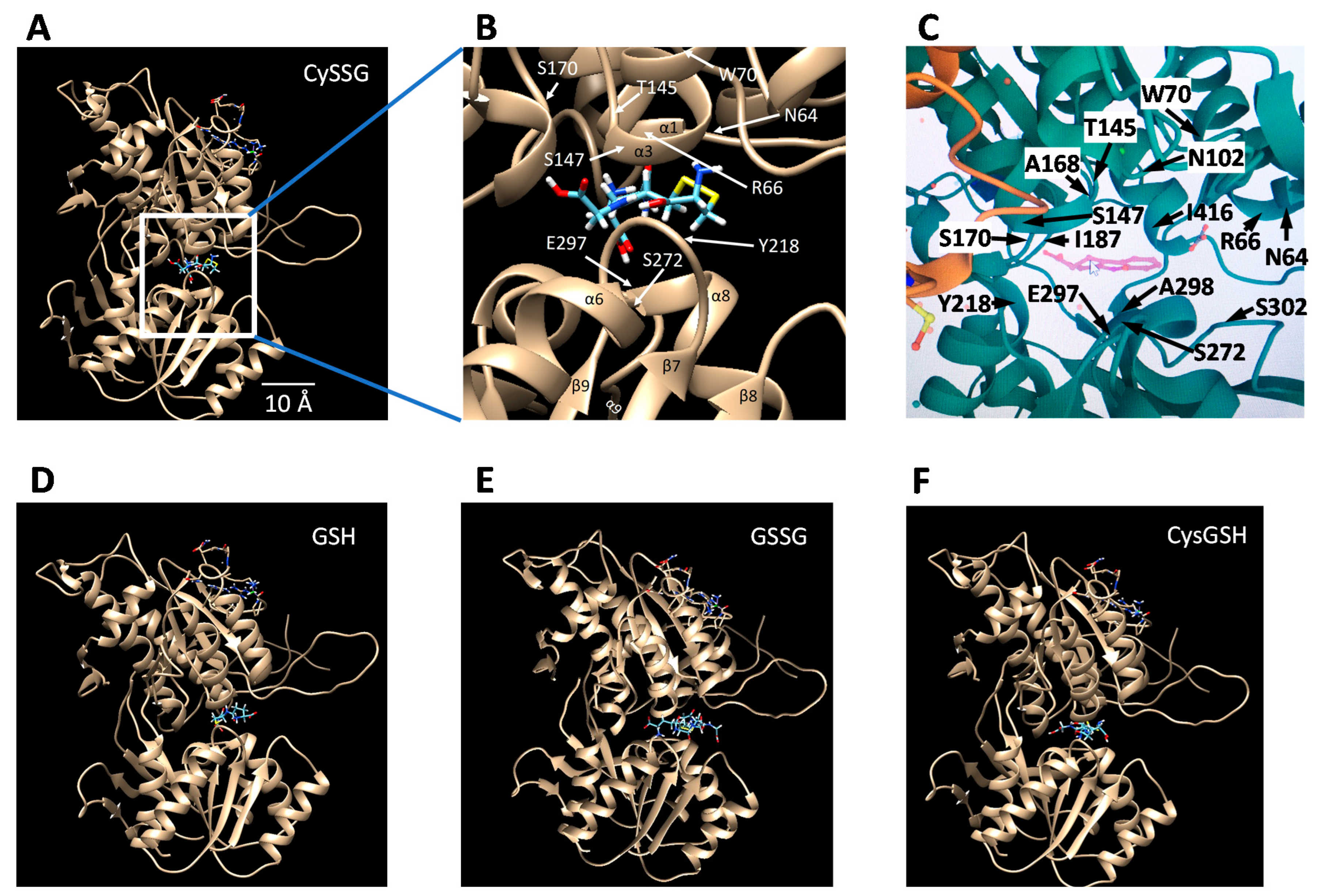 Ijms 23 00717 g004 550