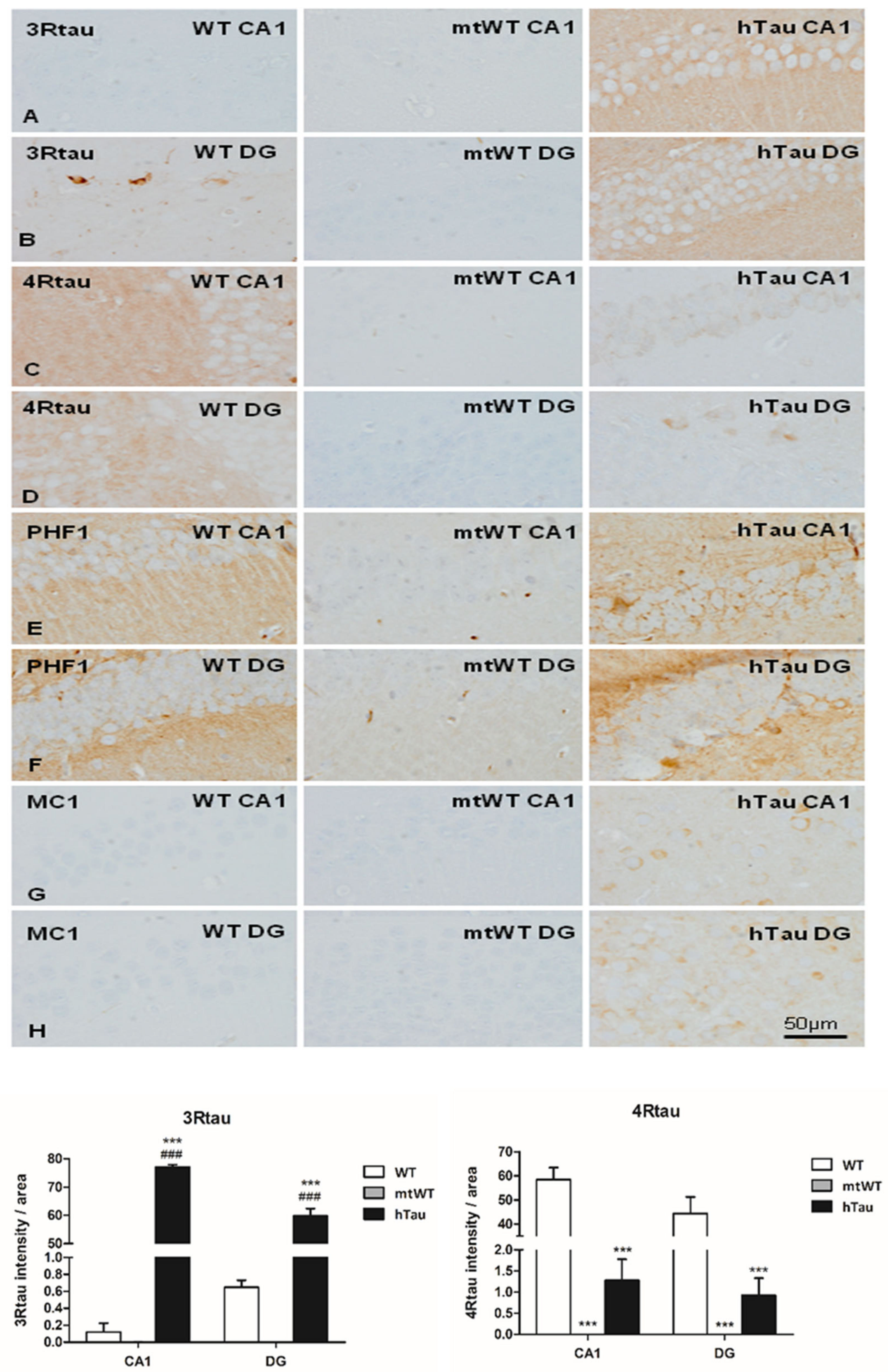 Ijms 23 00718 g001 550