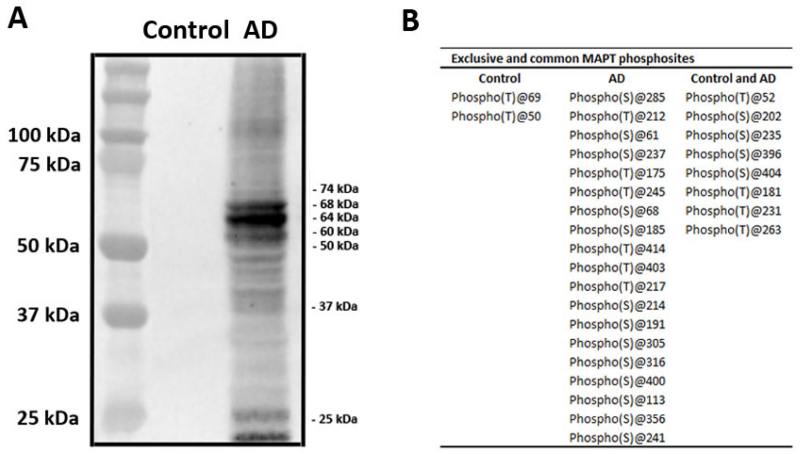 Ijms 23 00718 g003 550