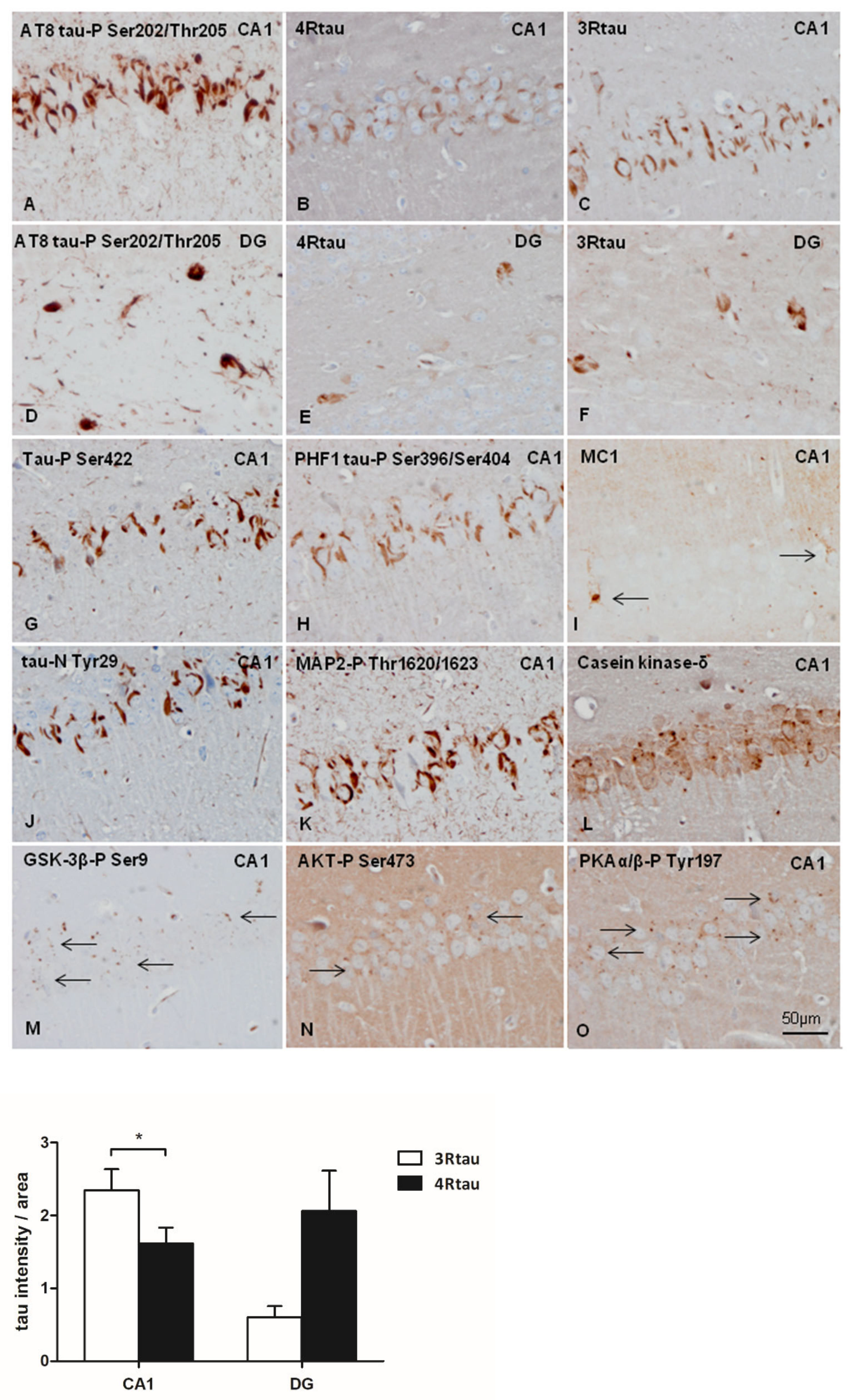 Ijms 23 00718 g005 550