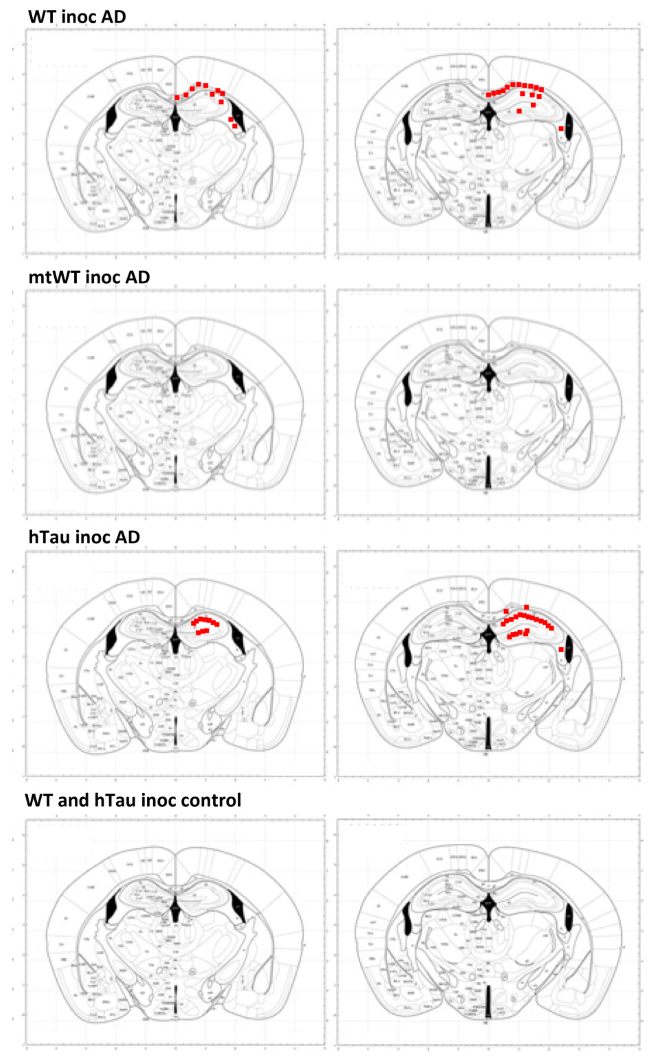 Ijms 23 00718 g006 550