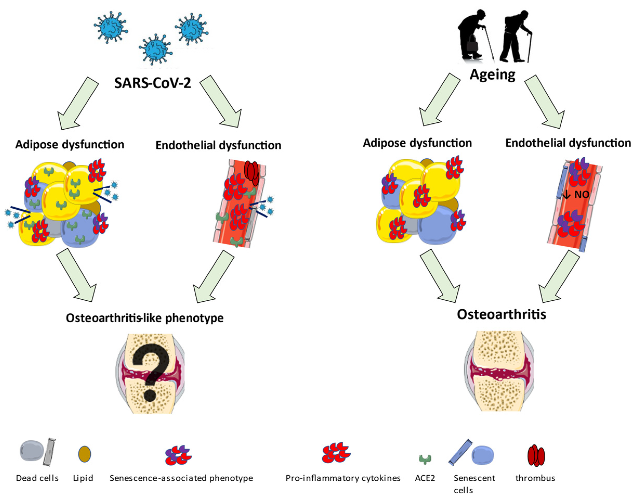 Ijms 23 00720 g002 Ijms 23 00720 g002
