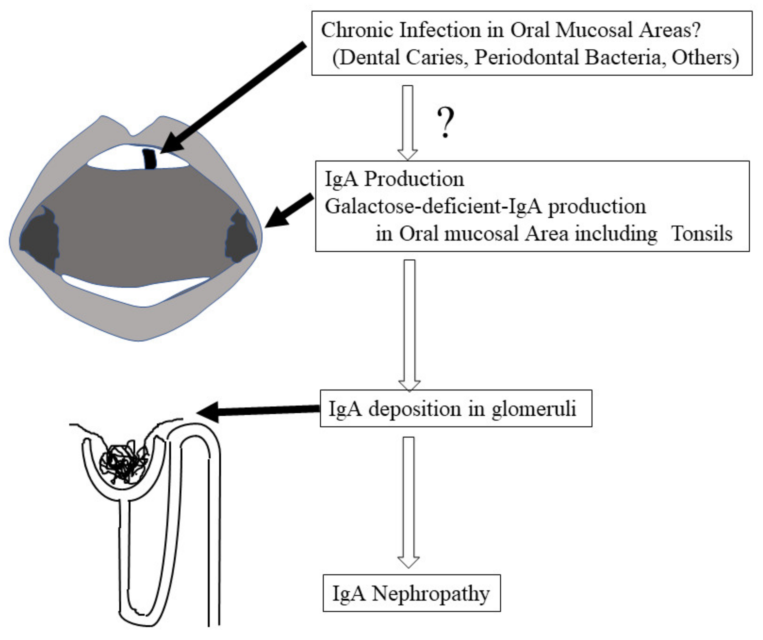 Ijms 23 00725 g001 Ijms 23 00725 g001