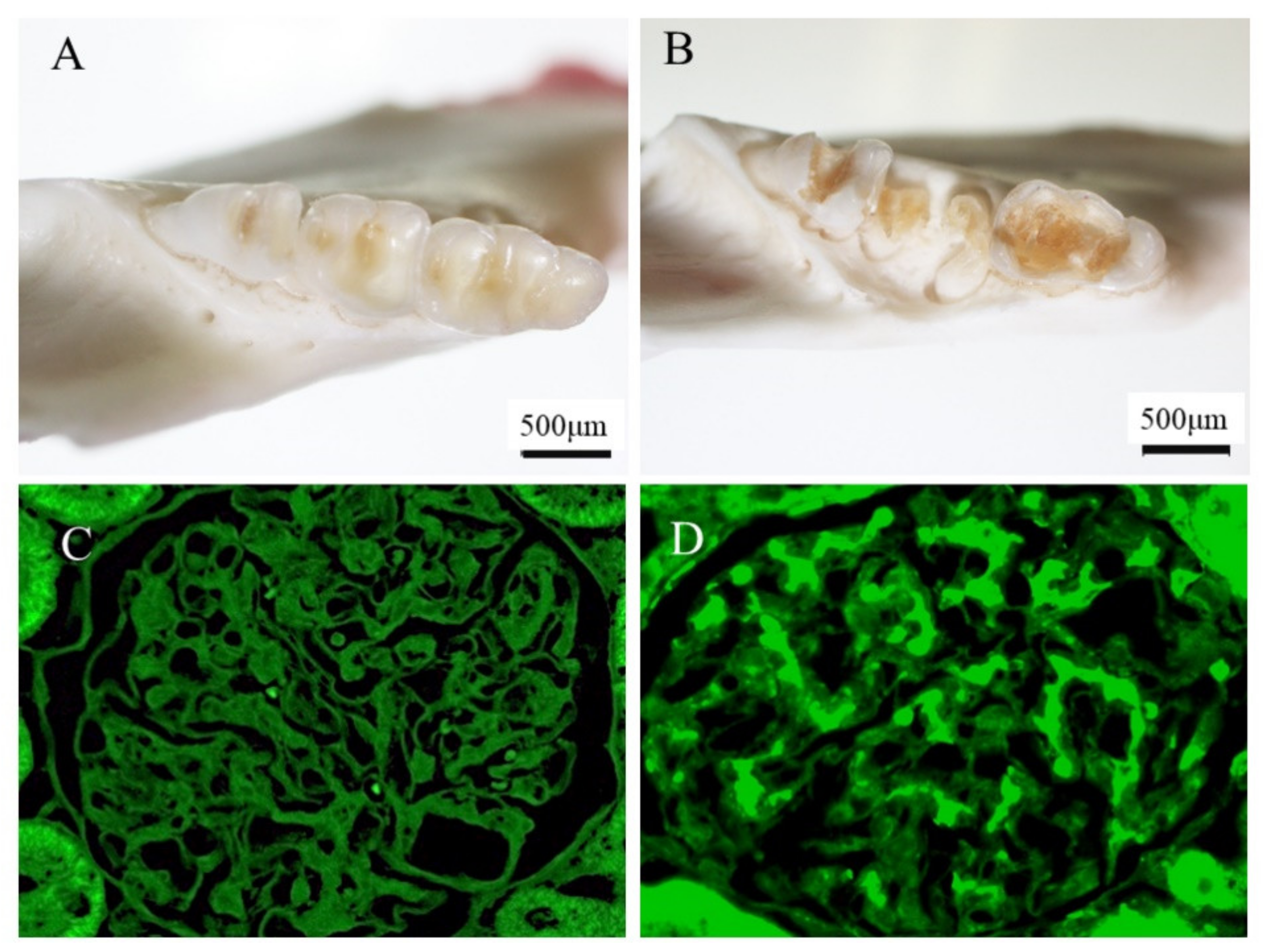 Ijms 23 00725 g003 Ijms 23 00725 g003