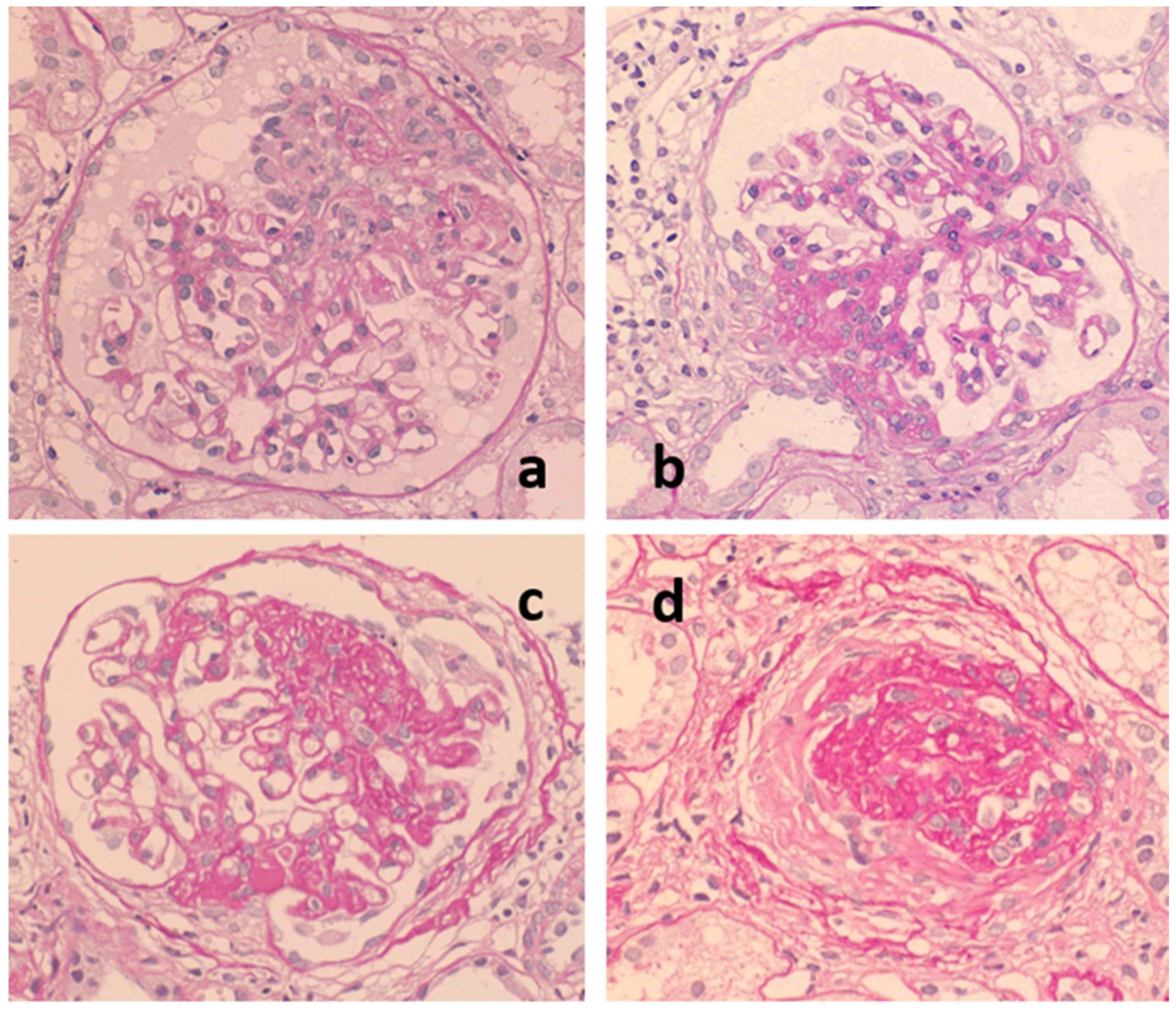 Ijms 23 00727 g002 Ijms 23 00727 g002