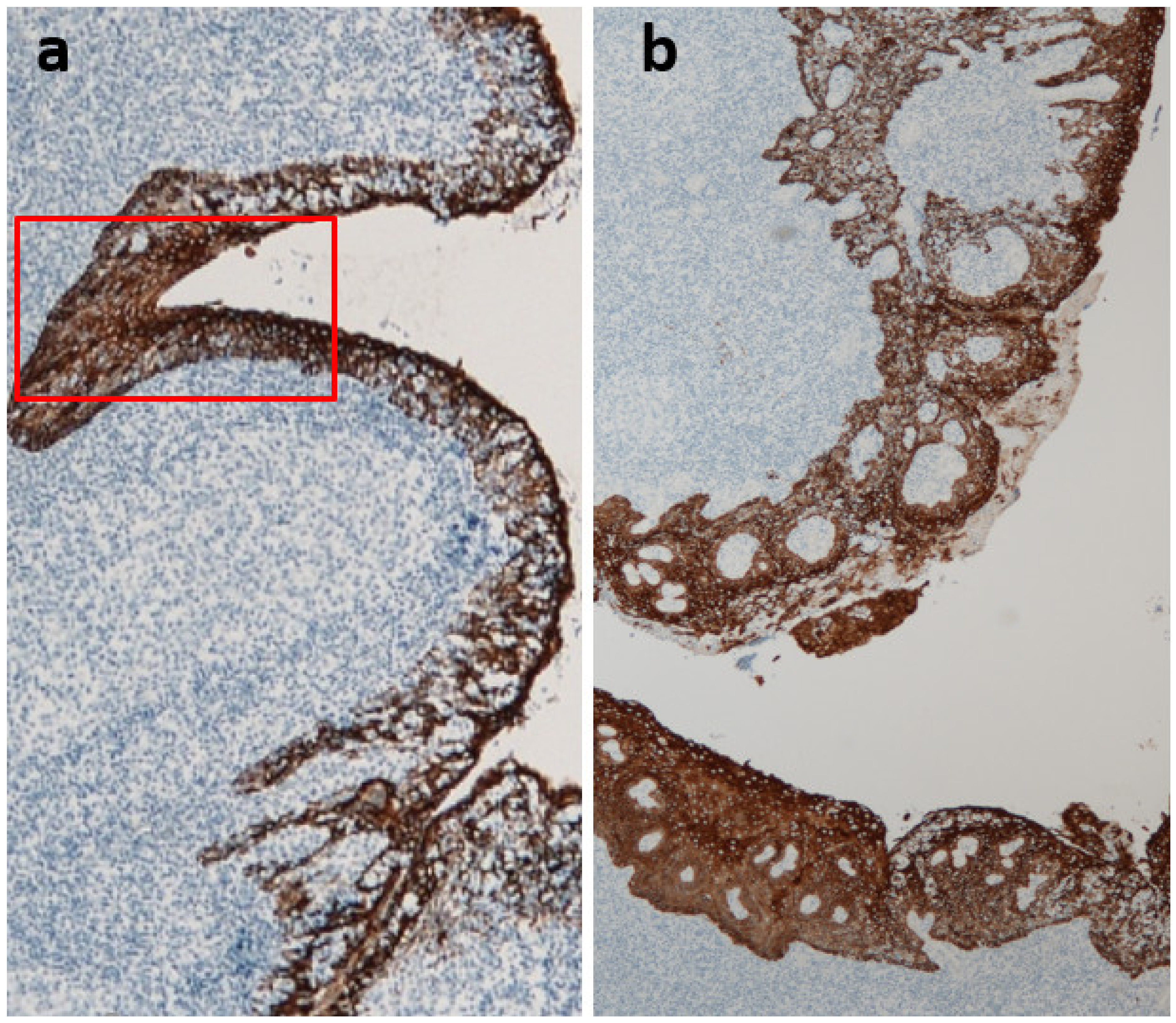 Ijms 23 00727 g005 Ijms 23 00727 g005