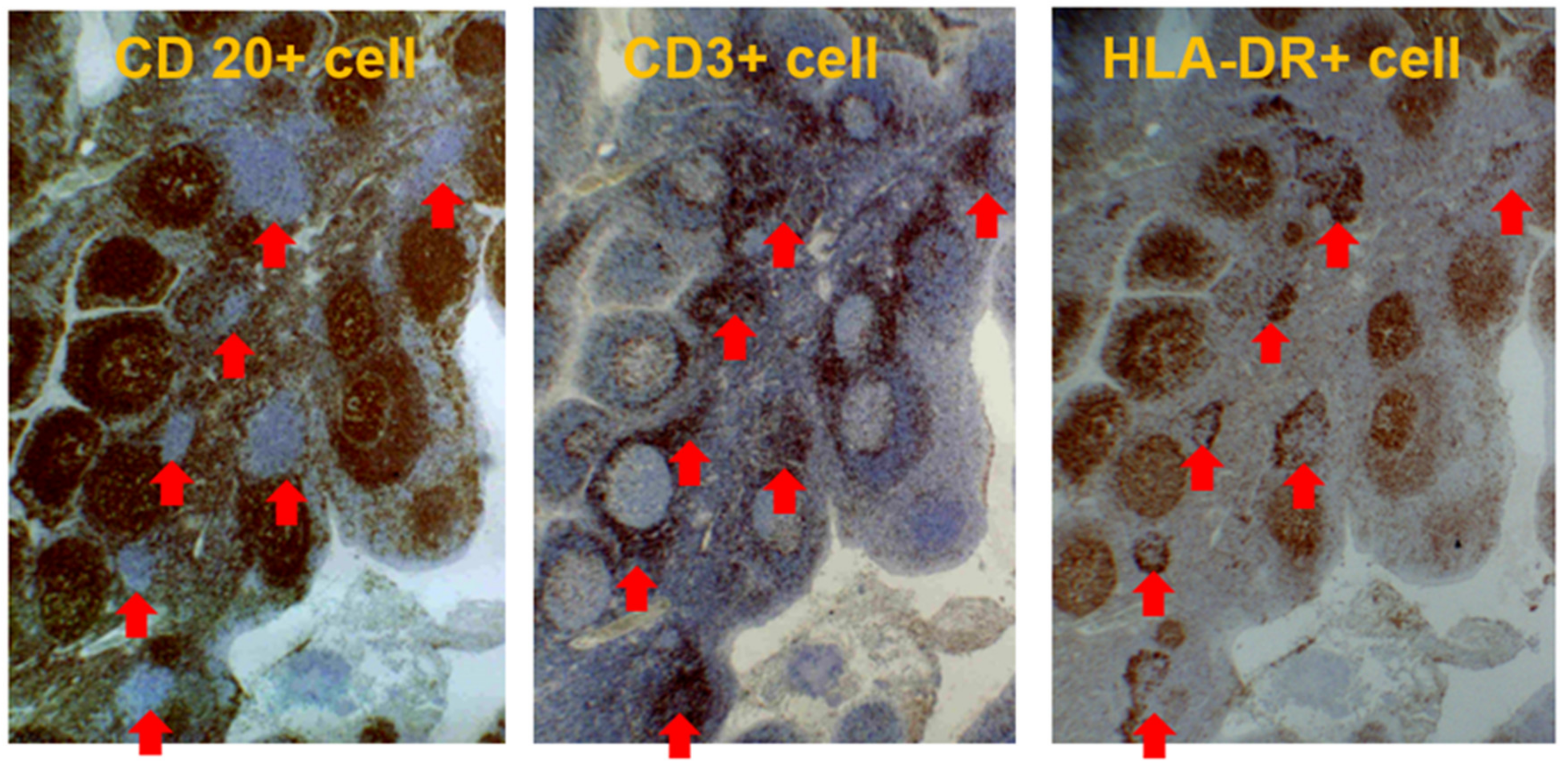 Ijms 23 00727 g006 Ijms 23 00727 g006