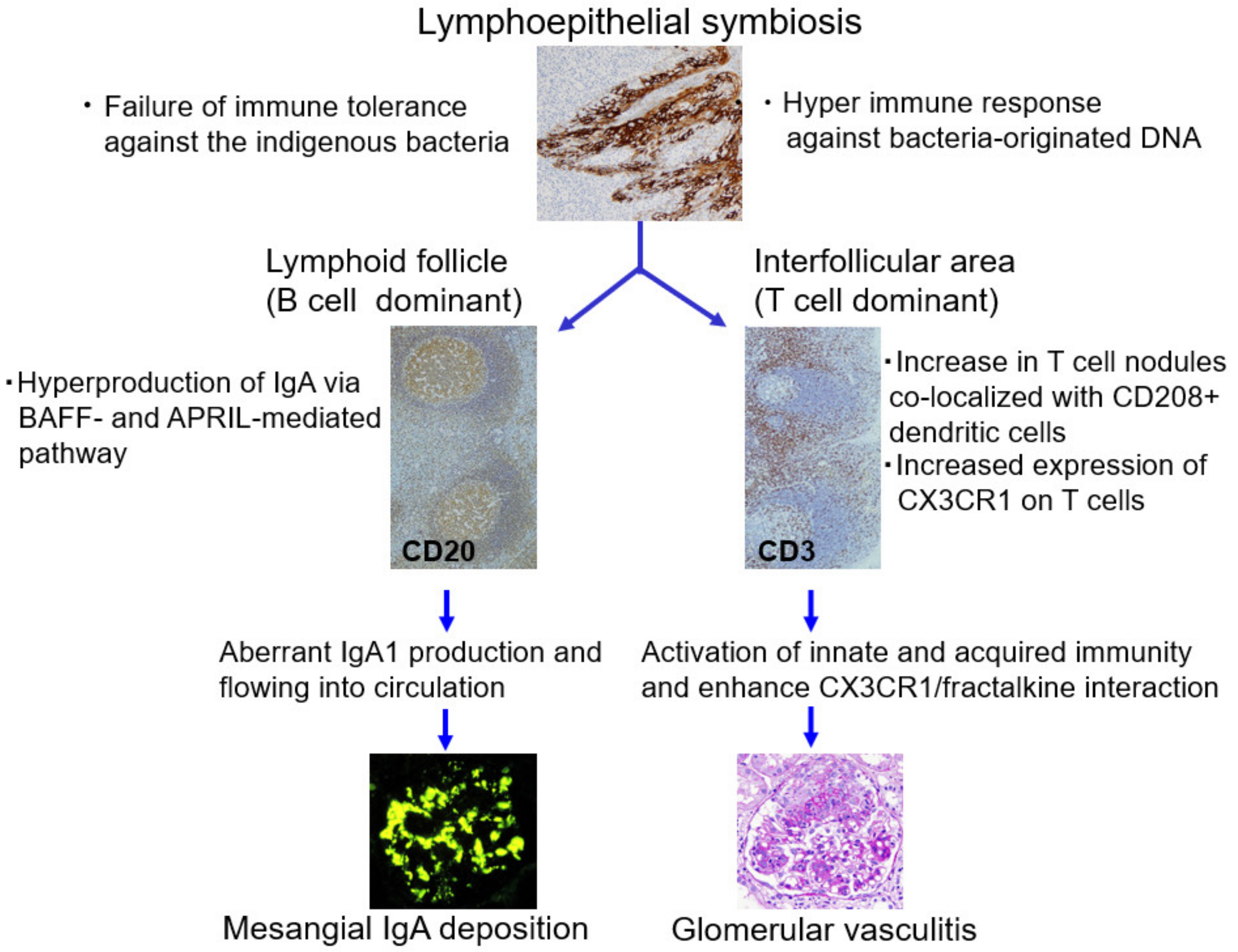 Ijms 23 00727 g007 Ijms 23 00727 g007