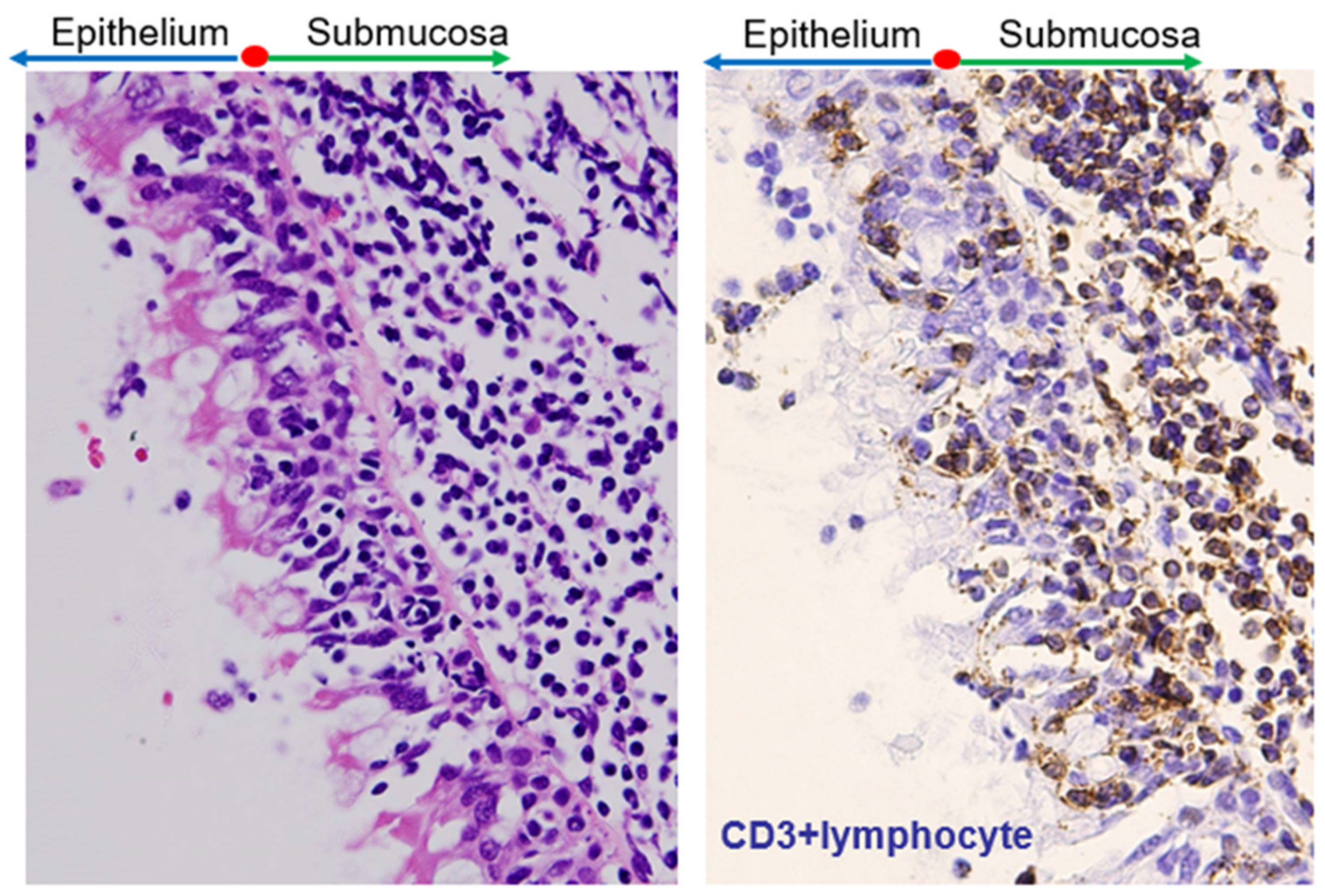 Ijms 23 00727 g008 Ijms 23 00727 g008