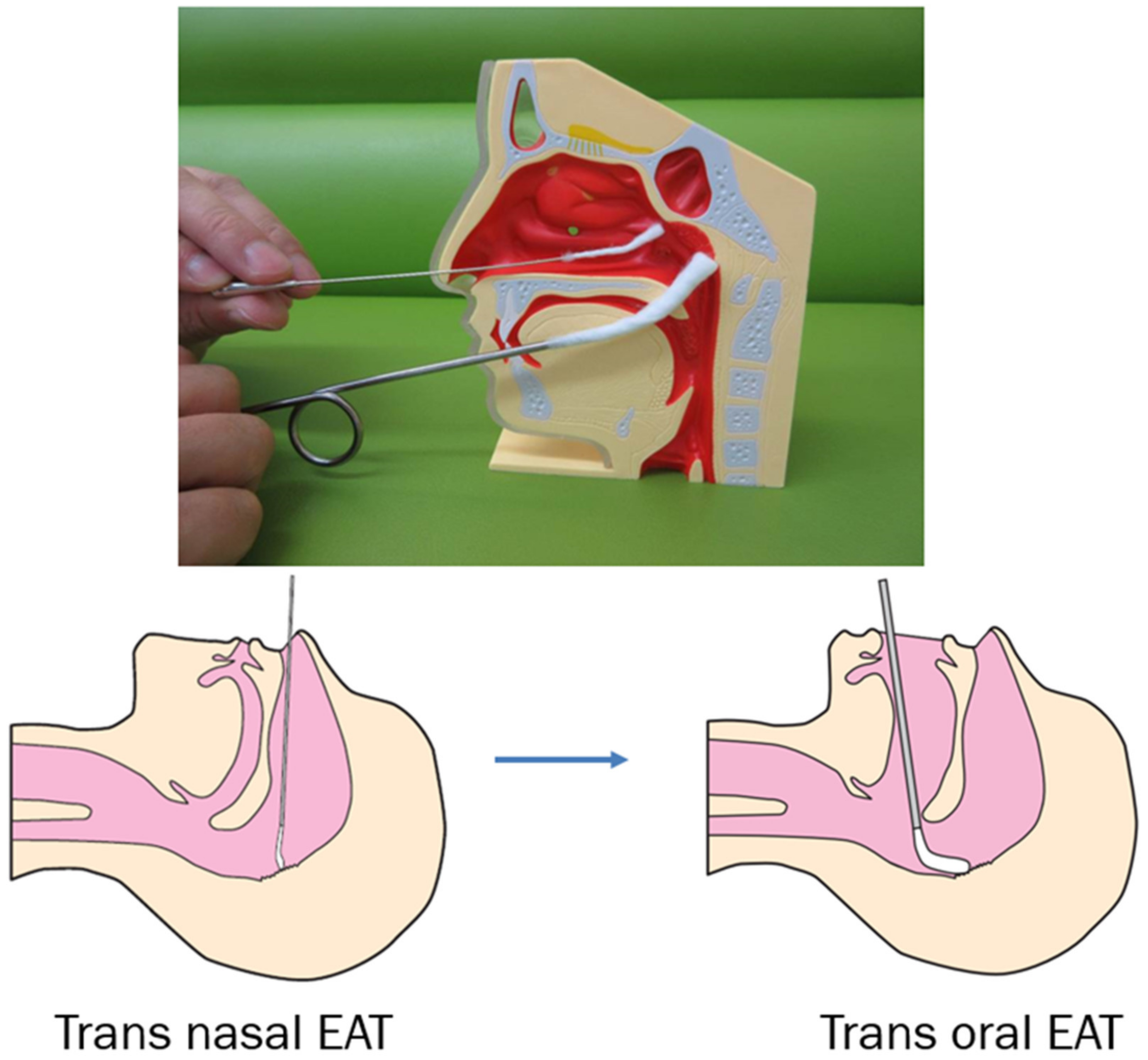 Ijms 23 00727 g011 Ijms 23 00727 g011