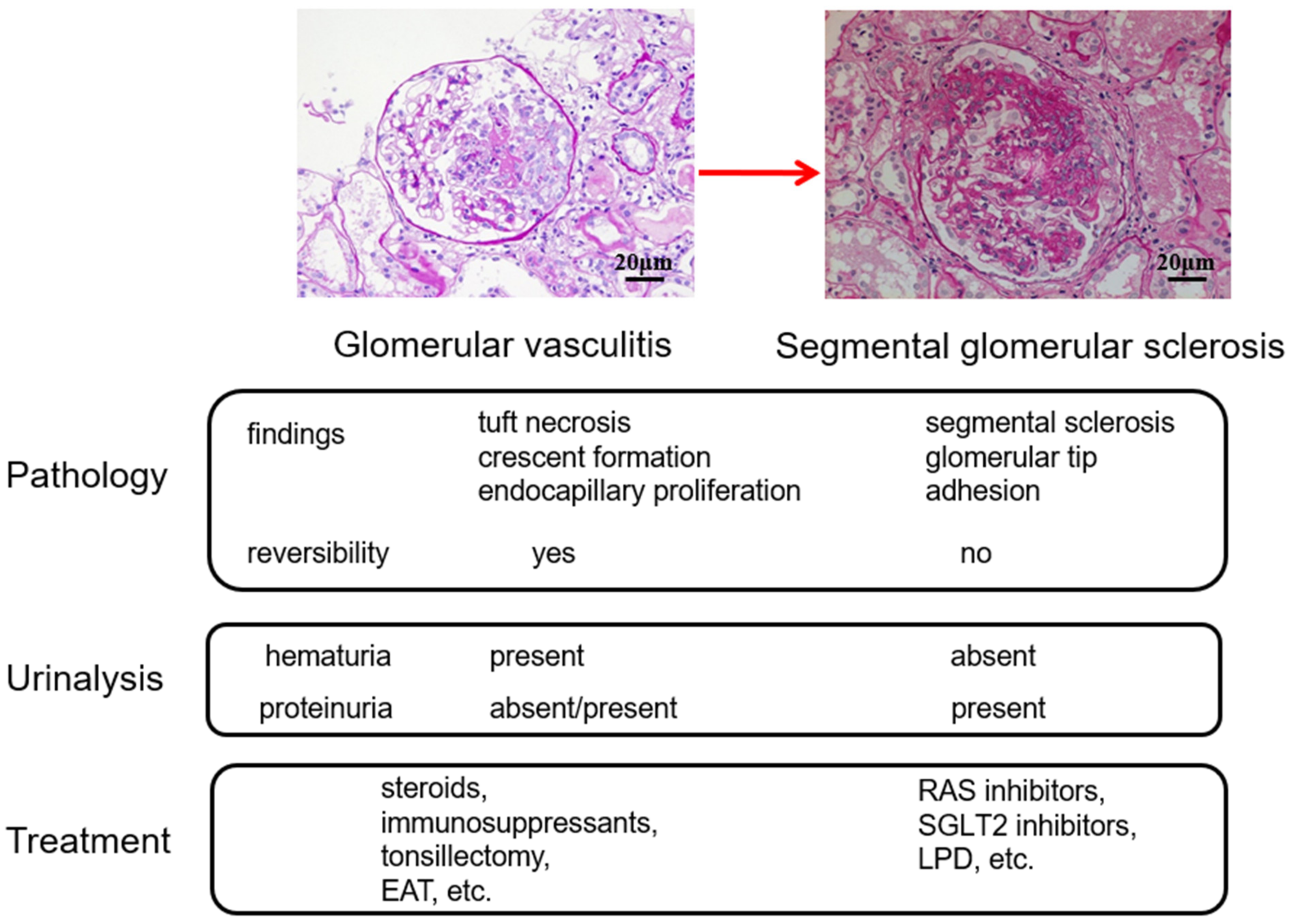 Ijms 23 00727 g014 Ijms 23 00727 g014