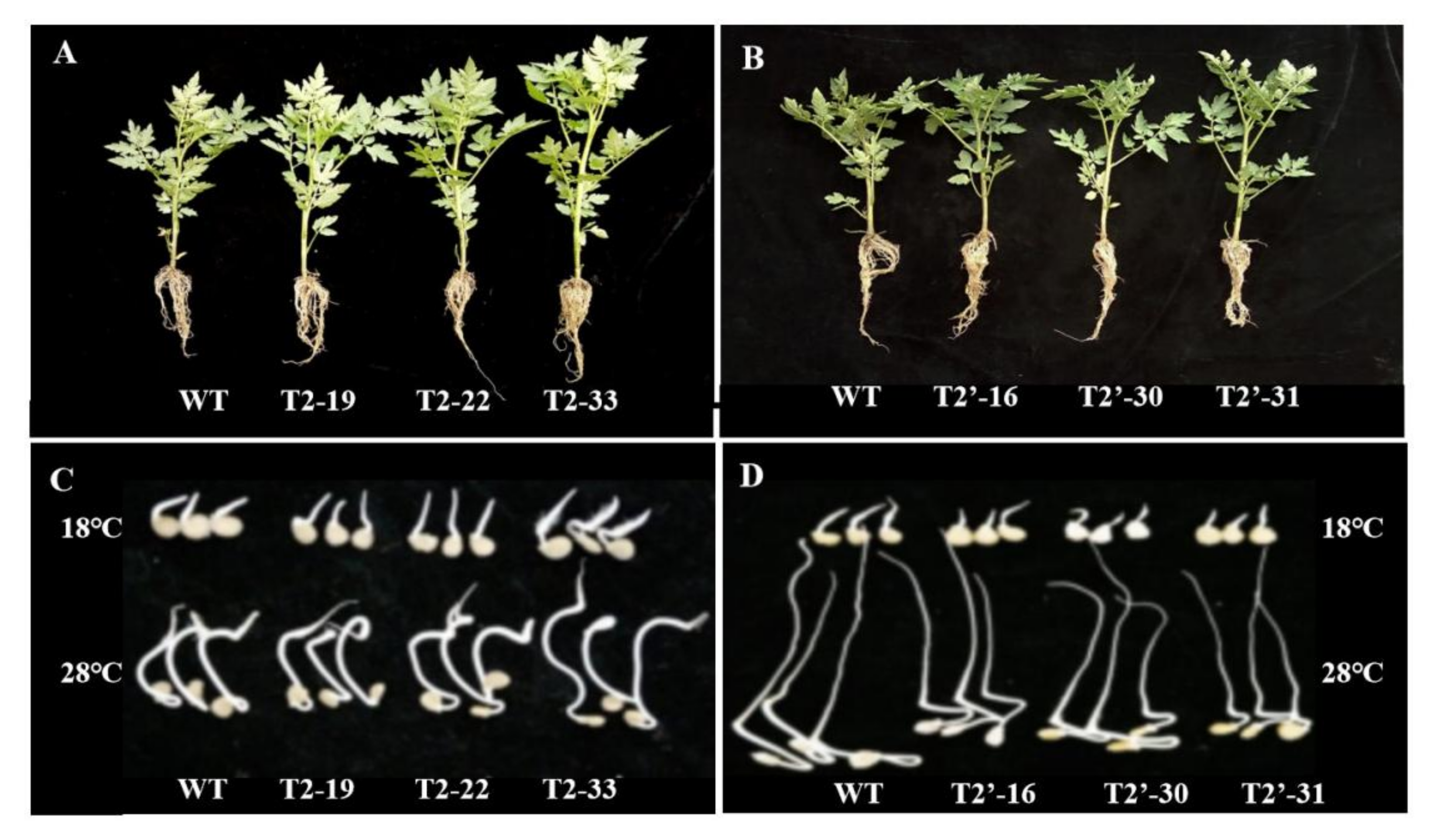 Ijms 23 00728 g002 550