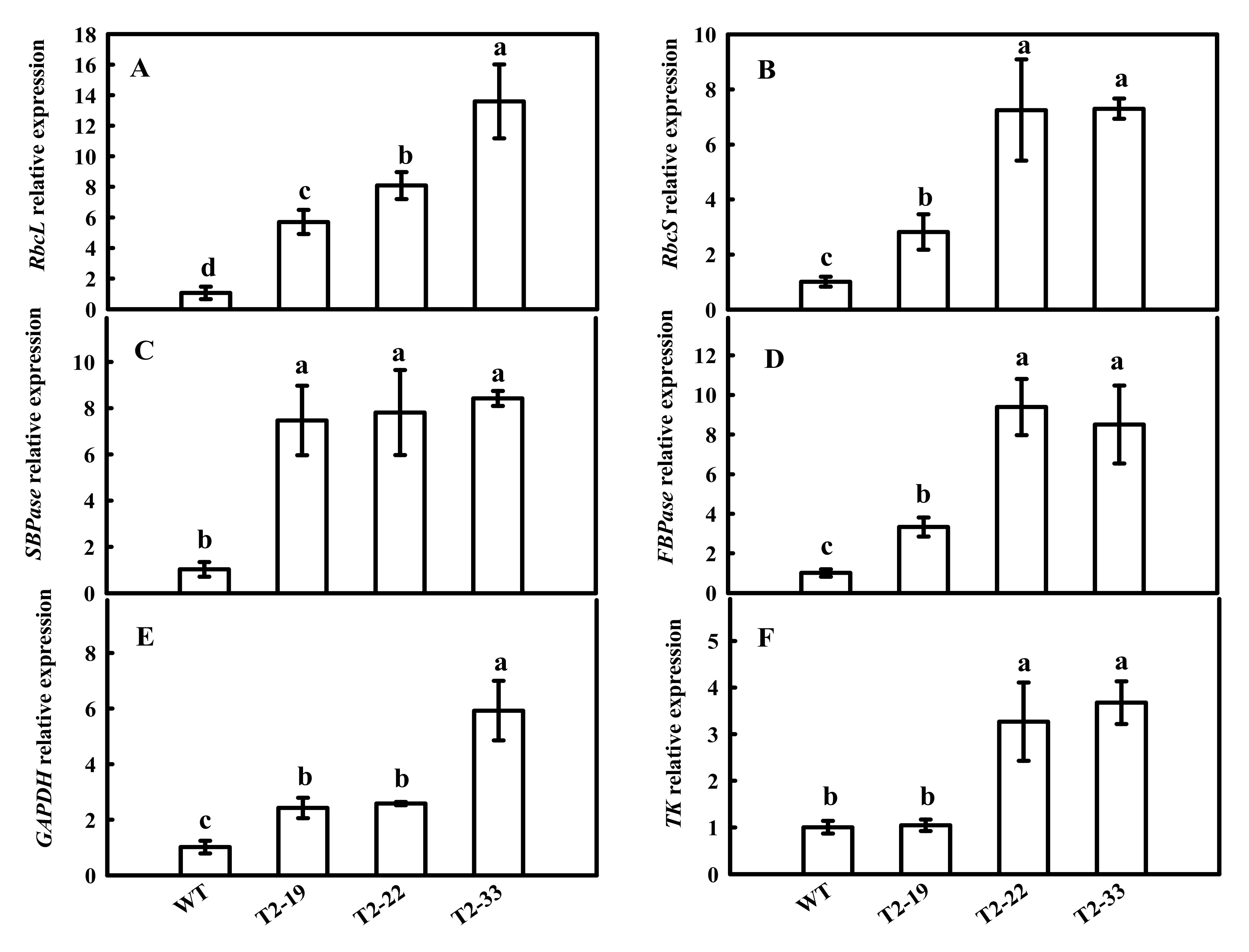 Ijms 23 00728 g004 550