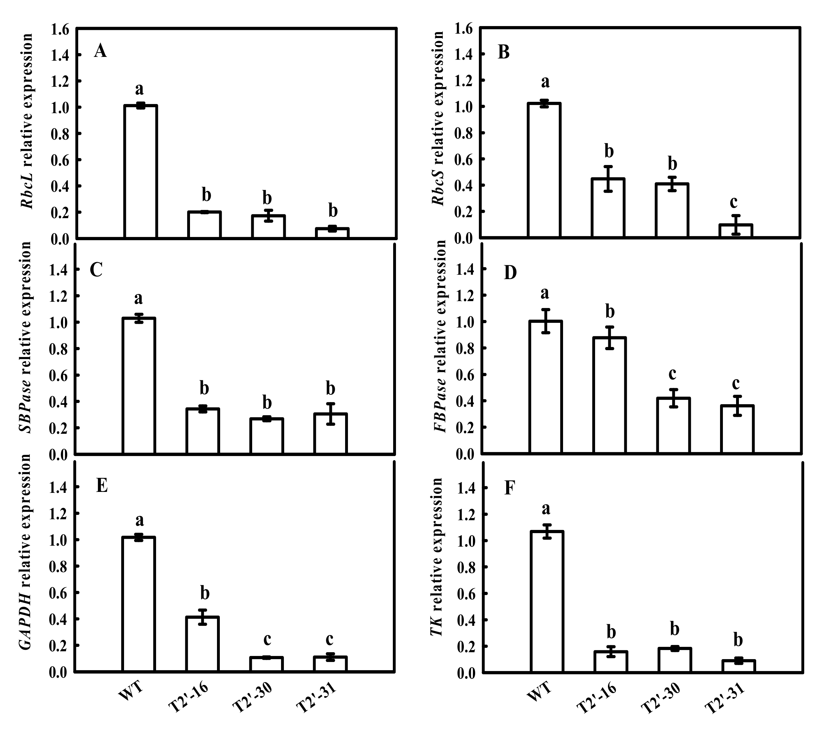 Ijms 23 00728 g005 550